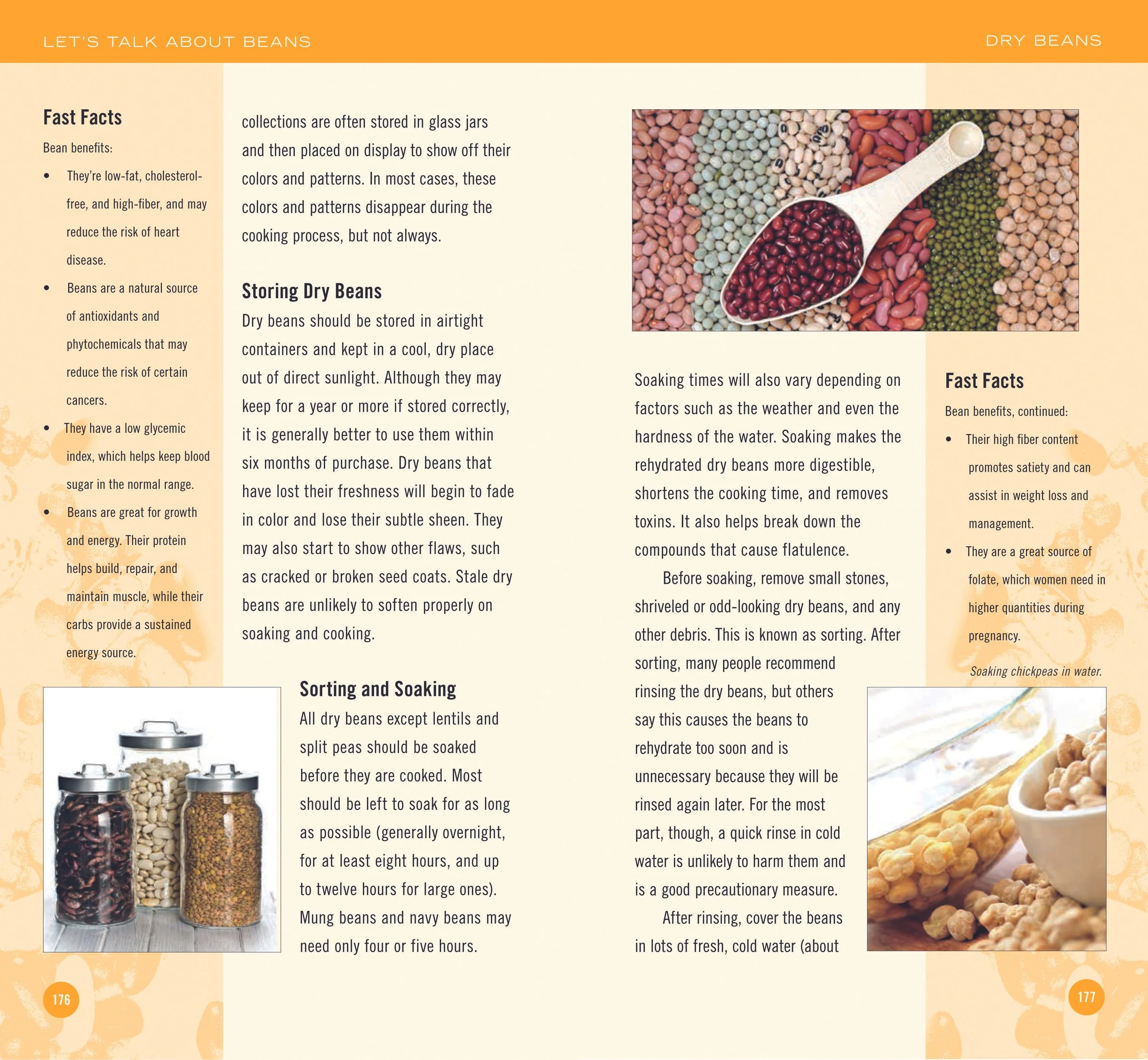 176-7_BEANS_lowrez-9.jpg