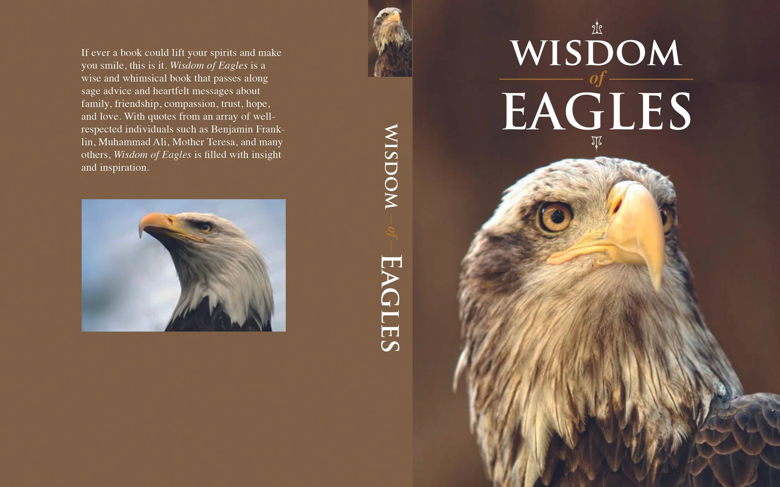 WISDOMEAGLESCVR.jpg