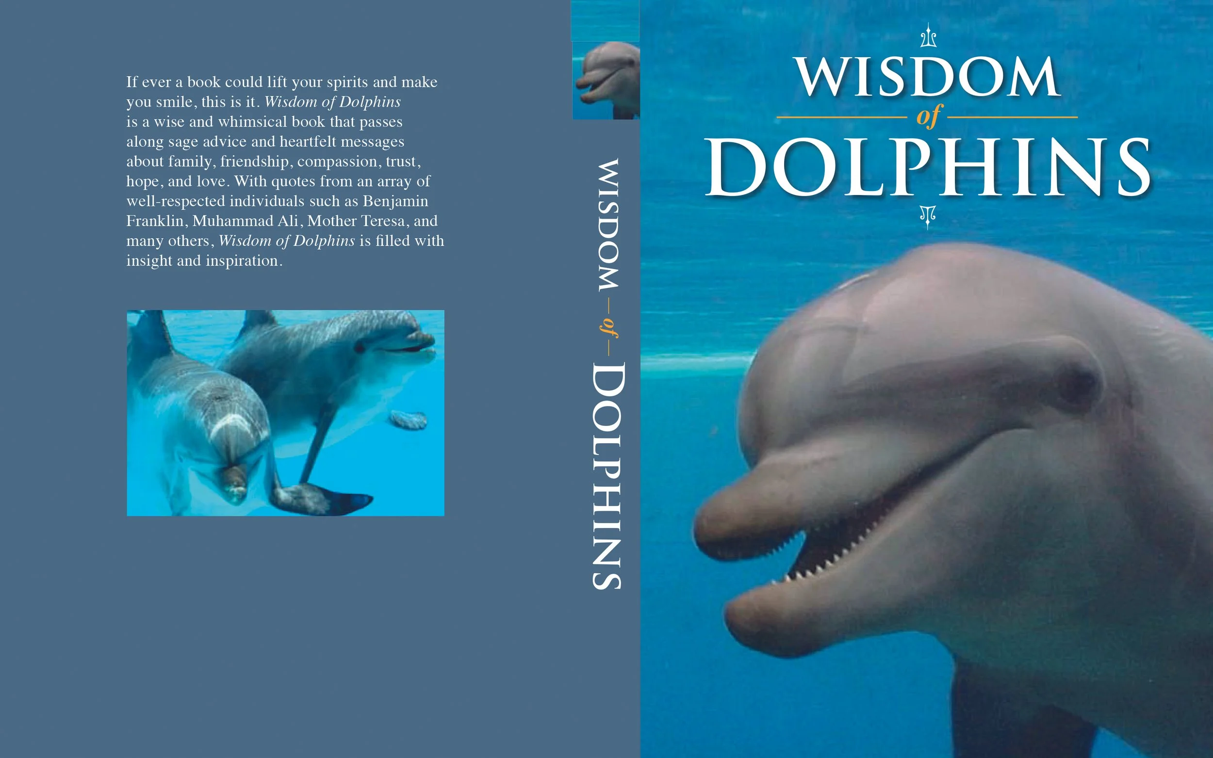 WISDOMDOLPHINSCVR.jpg
