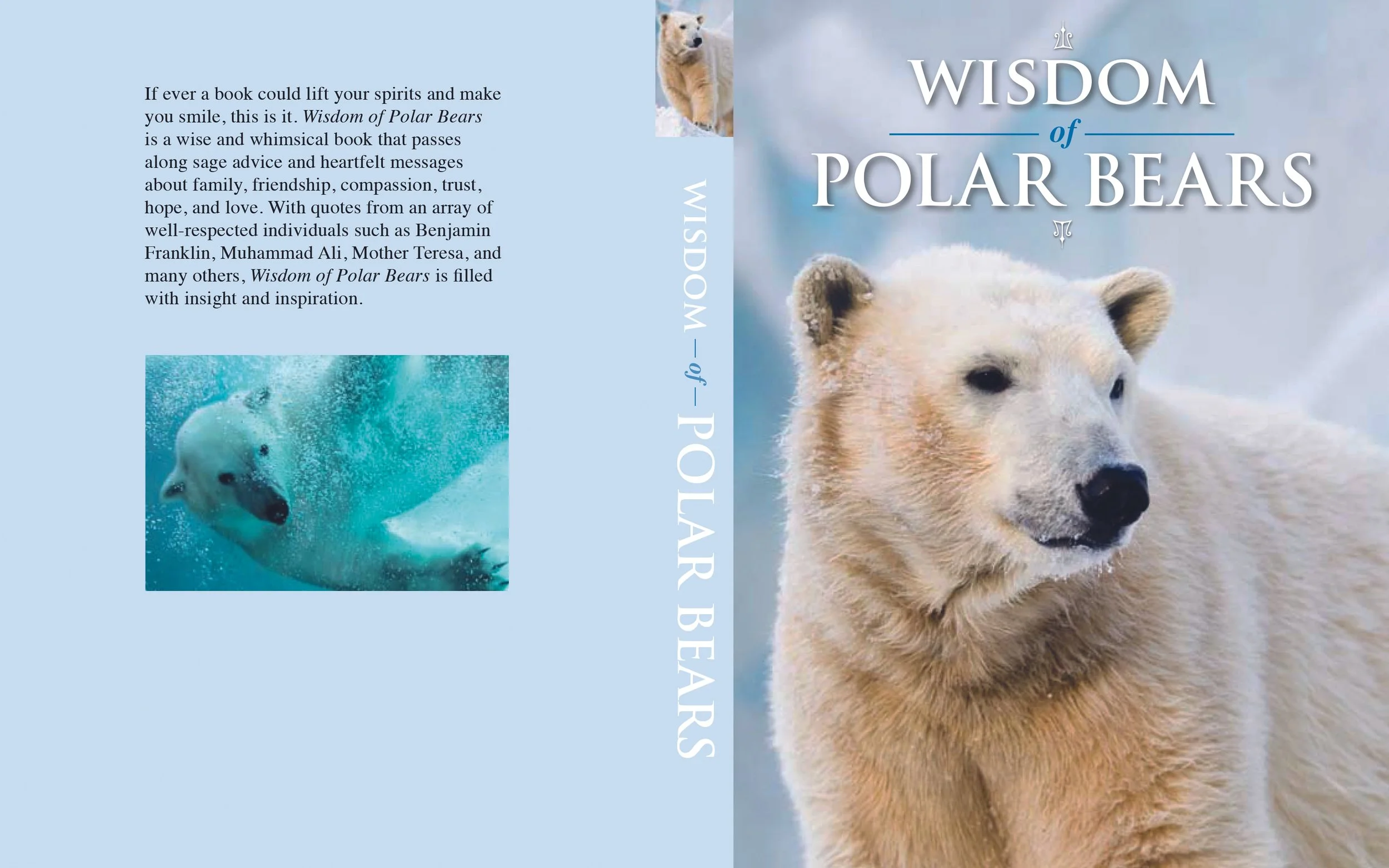 WISDOMPOLARBEARSSCVR.jpg