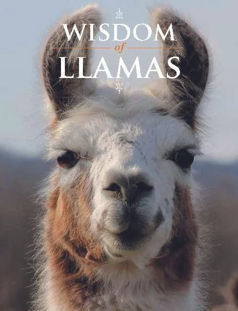 Wisdom_of_Llamas_cover.jpg