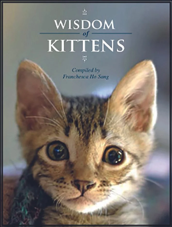 Wisdom_of_Kittens_cover.jpg