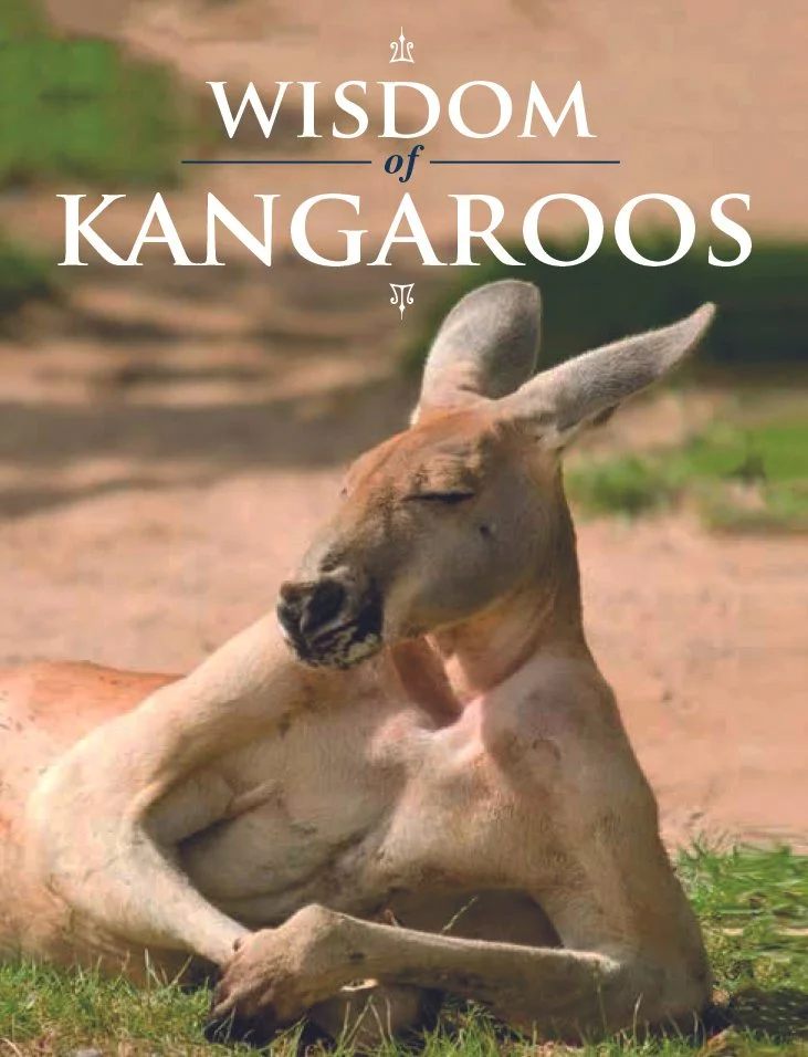 Wisdom_of_Kangaroos.jpg
