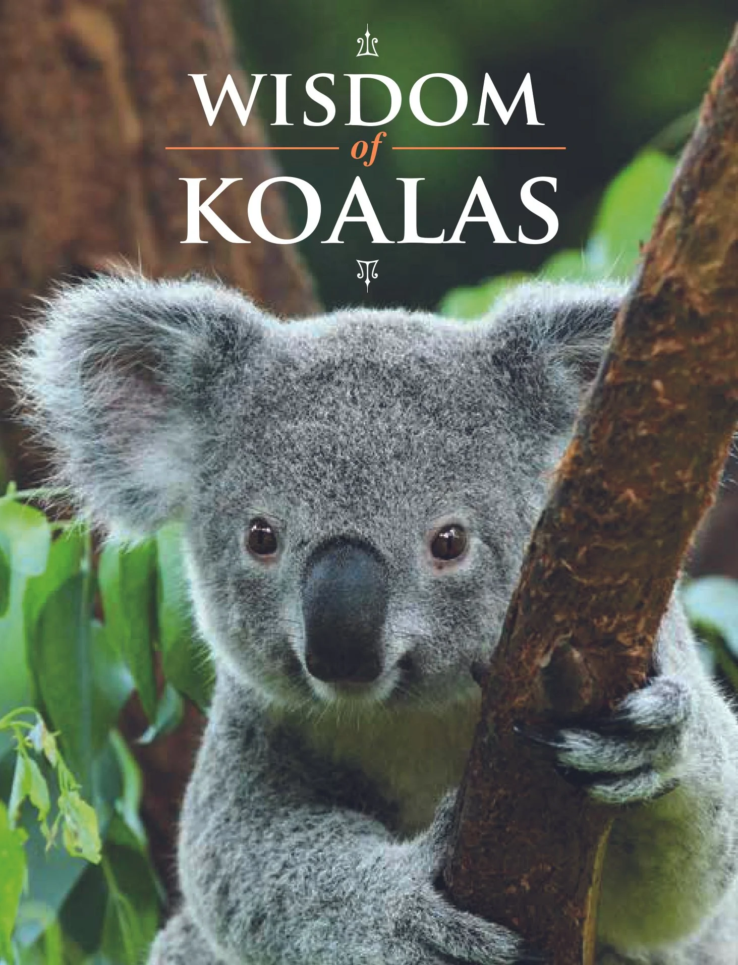 Wisdom_of_Koalas_040918-1.jpg