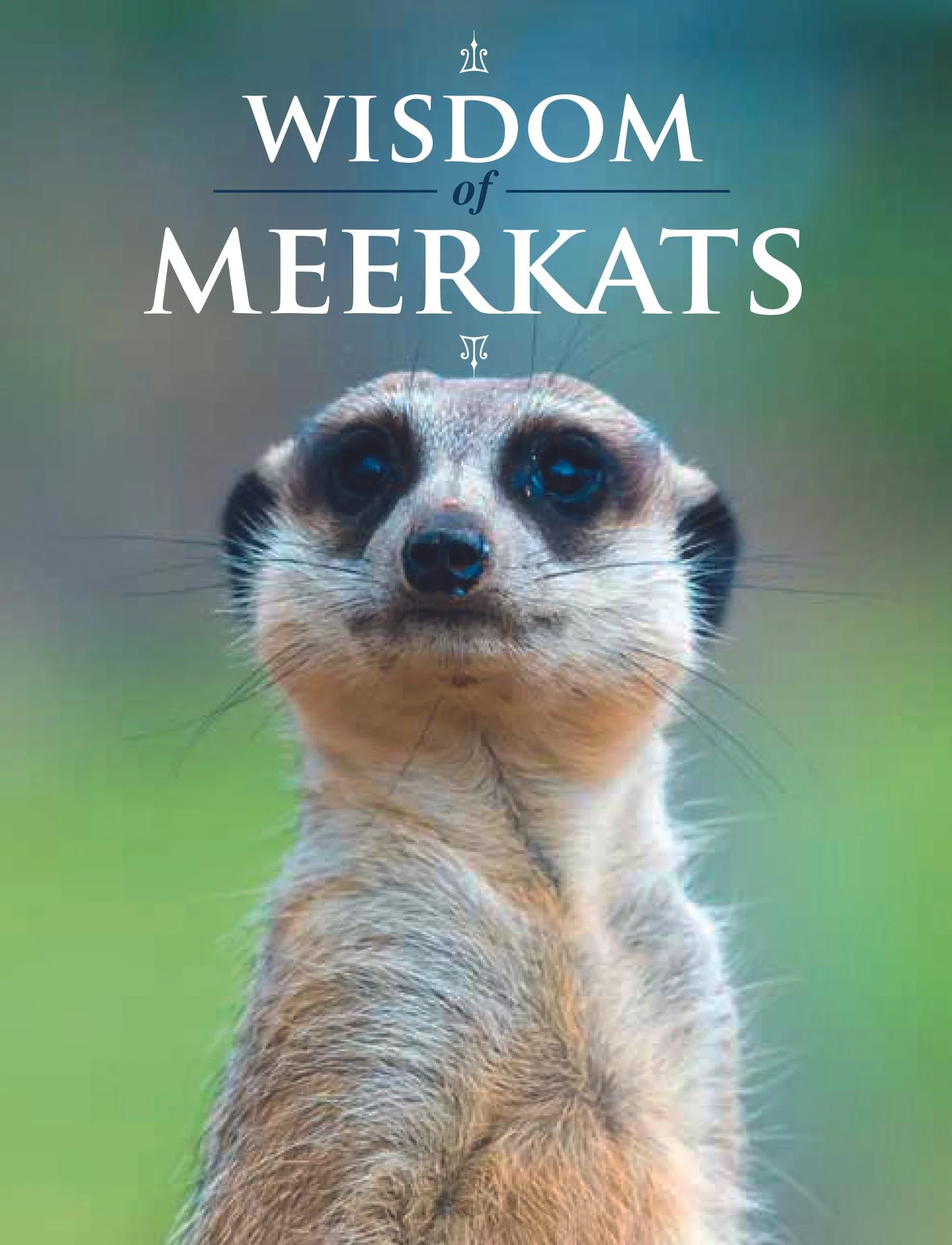 Wisdom_of_Meerkats.jpg