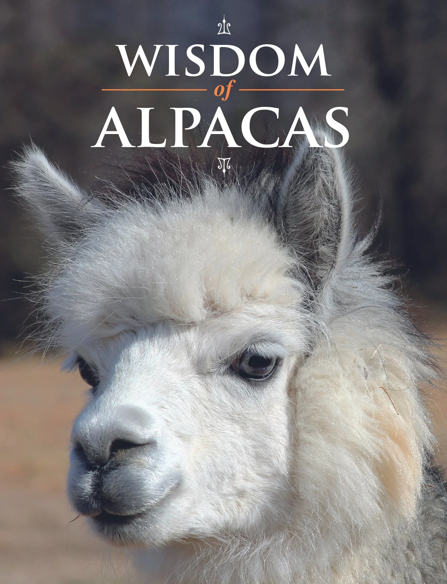 Wisdom_of_Alpacas_hi-res.jpg