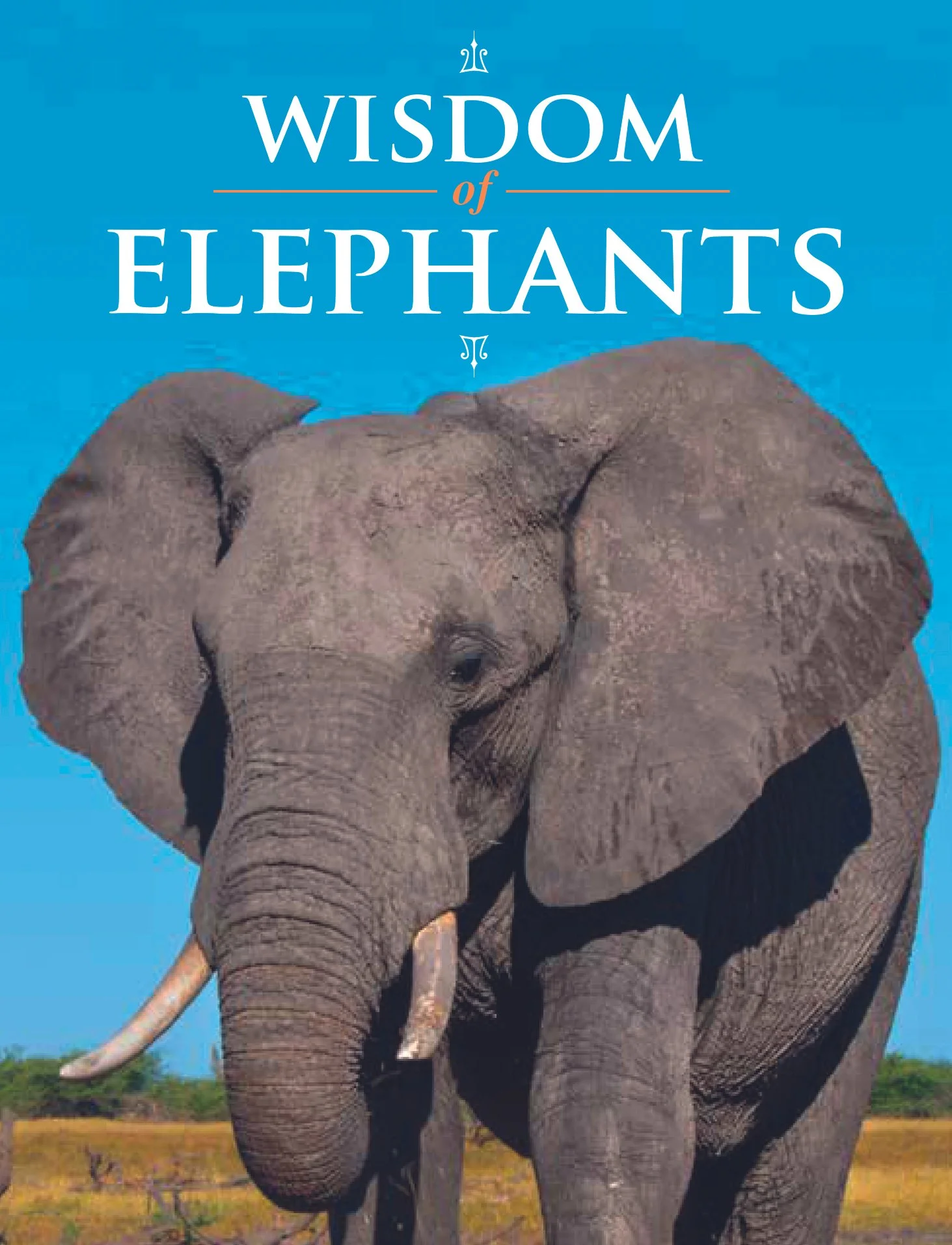 Wisdom_of_Elephants.jpg