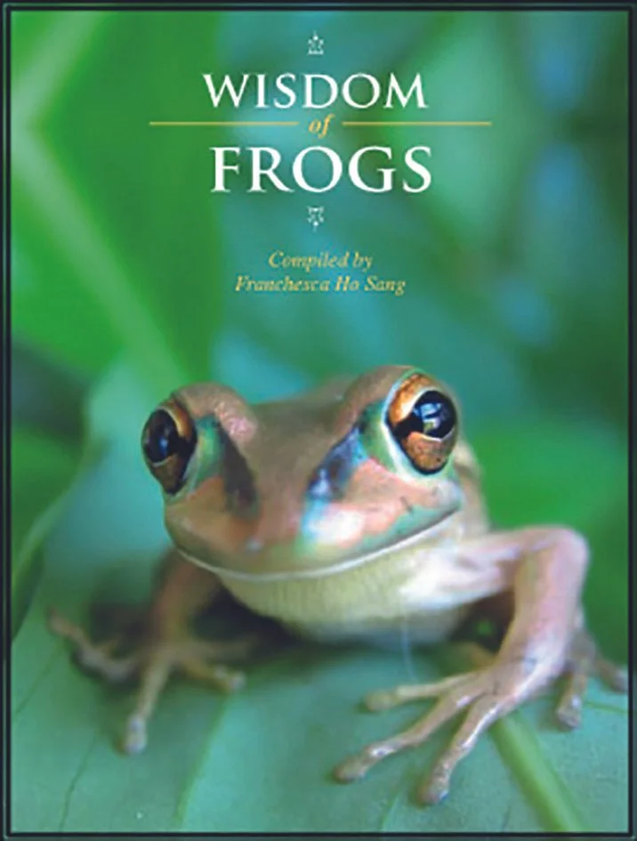 Wisdom_of_Frogs_cover.jpg