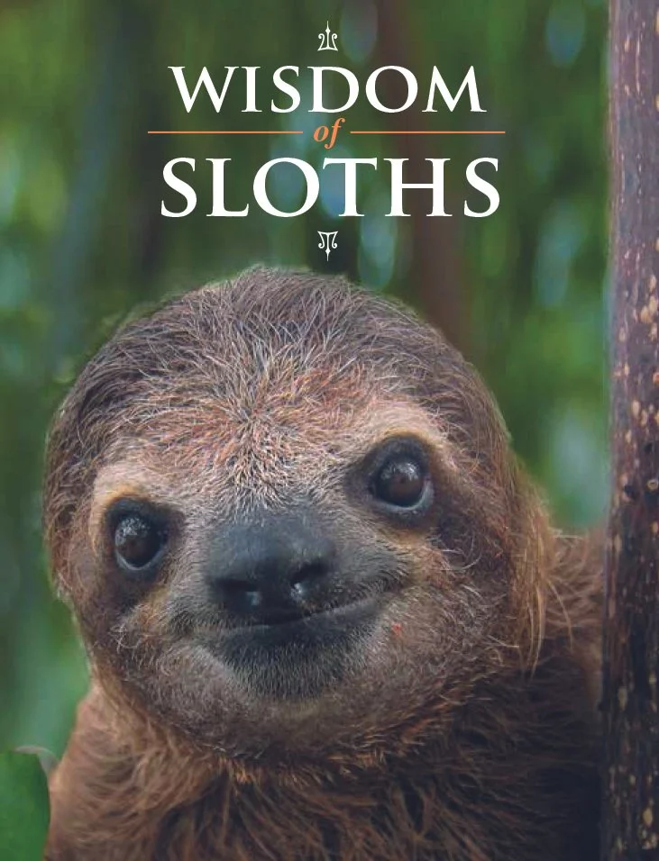 Wisdom_of_Sloths.jpg
