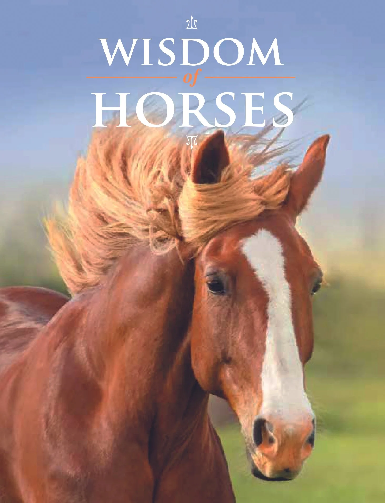 Wisdom_of_Horses.jpg