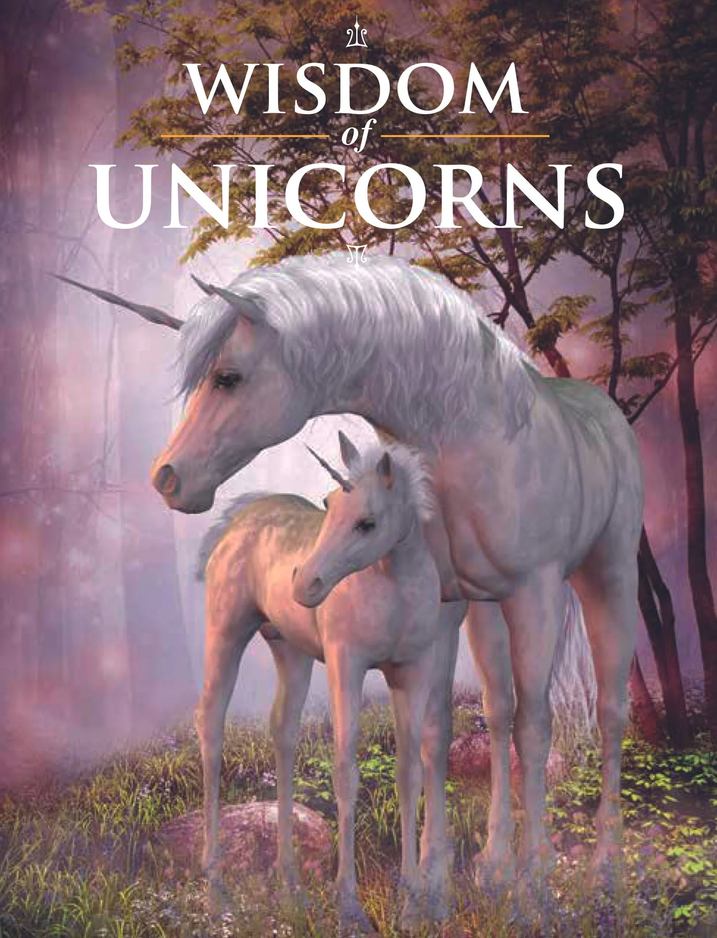 Wisdom_of_Unicorns1.jpg