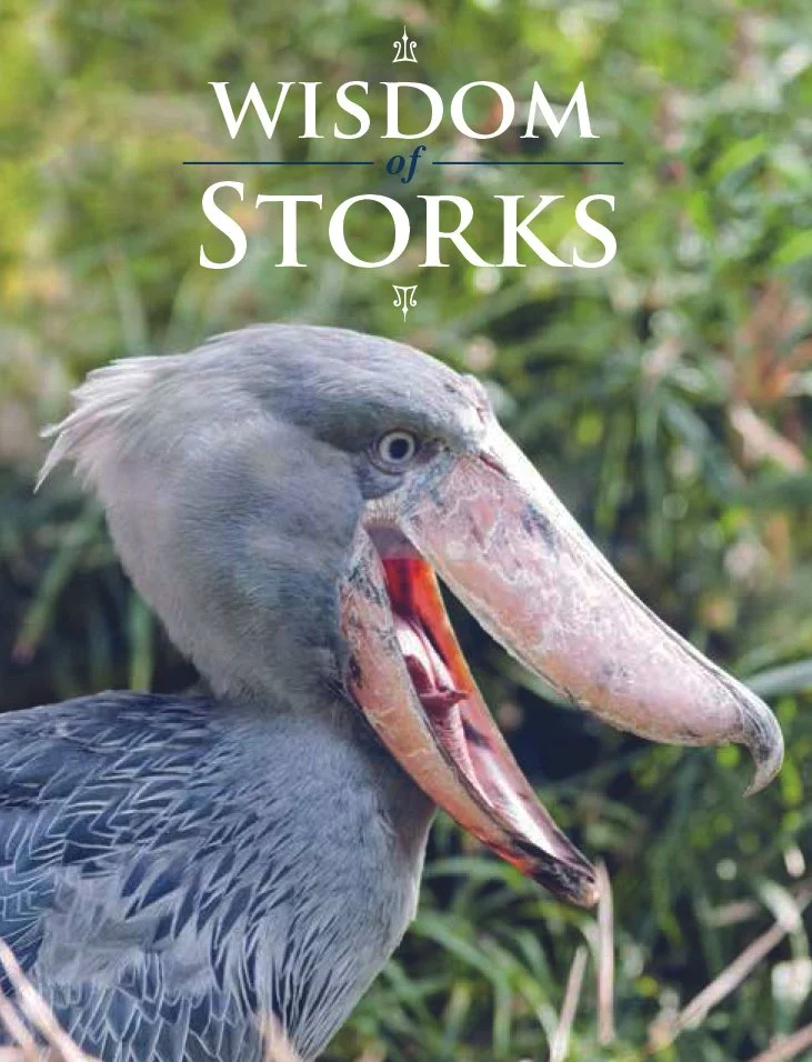 Wisdom_of_Storks.jpg