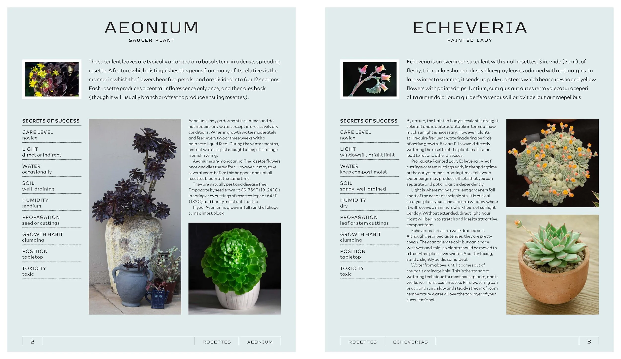 Succulents-samplePages-01_Page_1.jpg