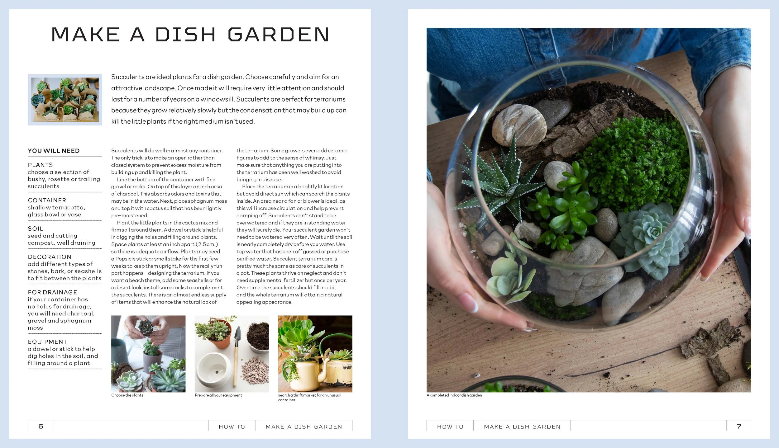 Succulents-samplePages-01_Page_3.jpg