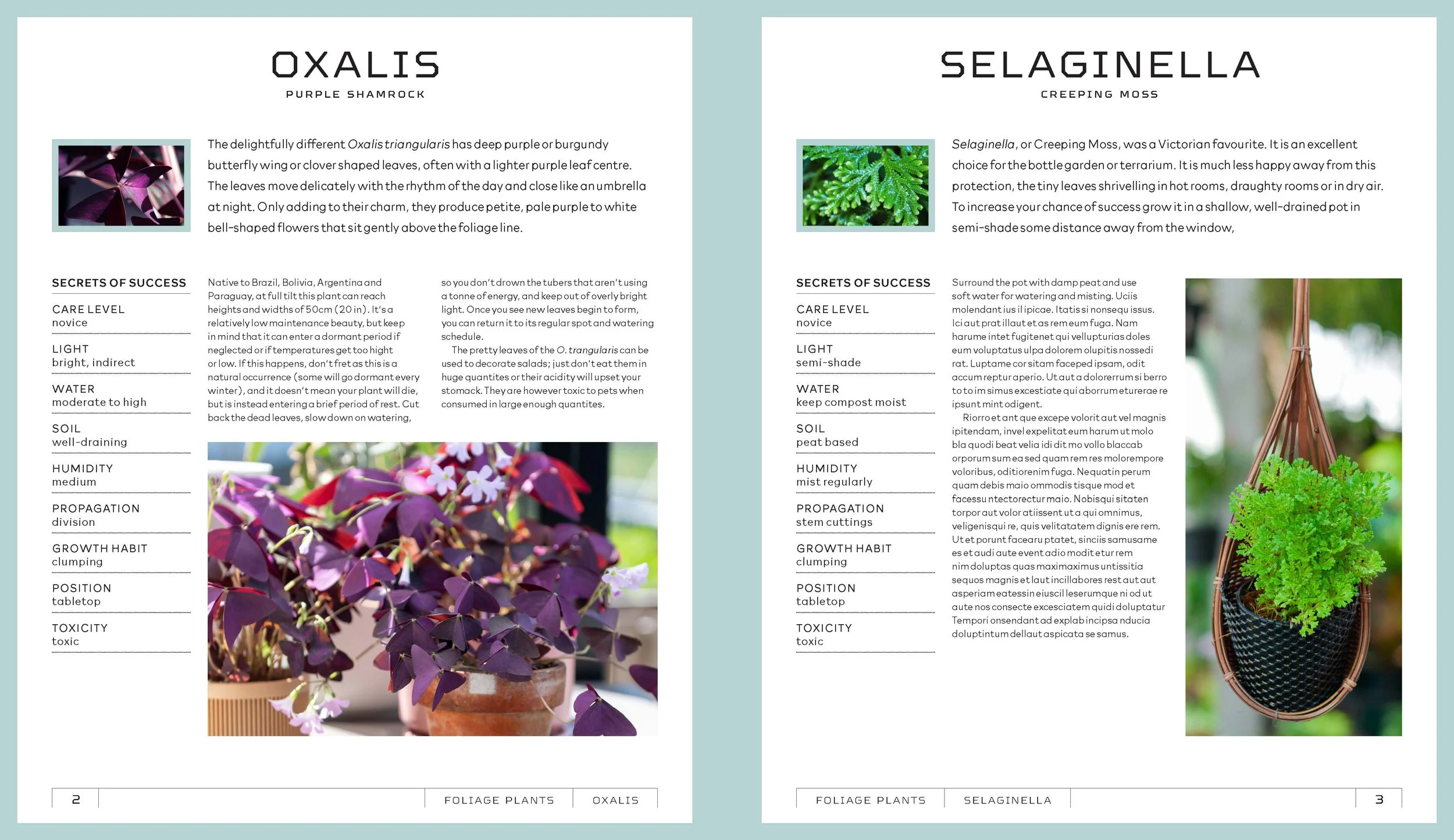 Houseplants-samplePages-01_Page_1.jpg