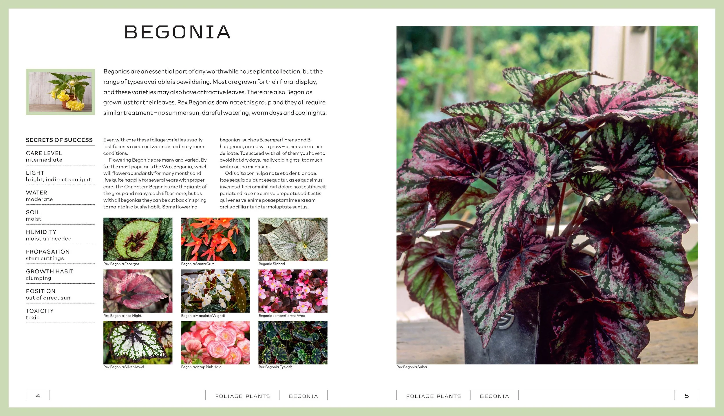 Houseplants-samplePages-01_Page_2.jpg