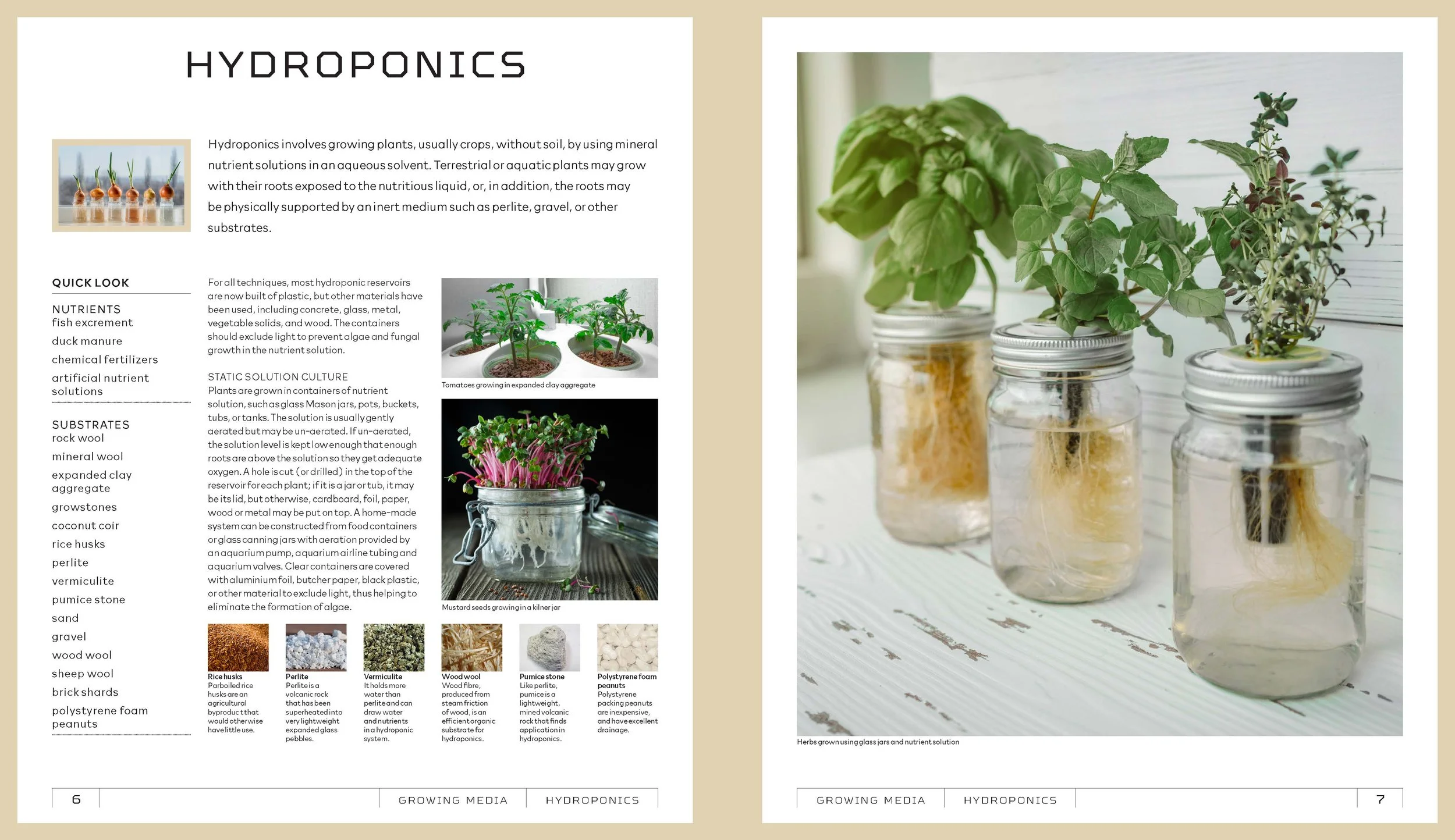 Houseplants-samplePages-01_Page_3.jpg
