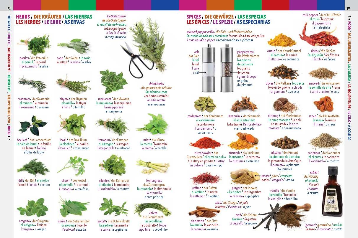 6LanguageVisualDictionary 78.jpg
