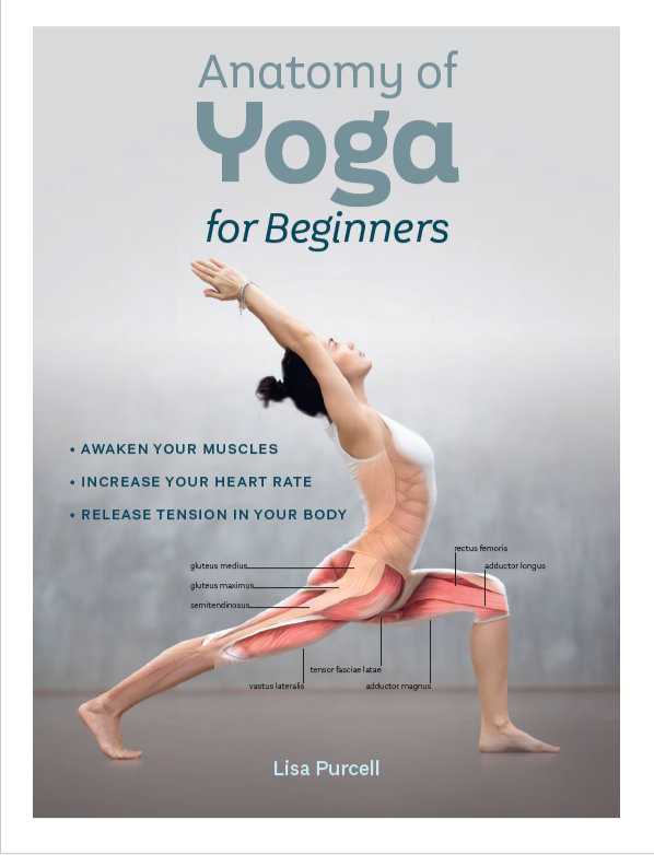 Anatomy of Yoga for Beginners