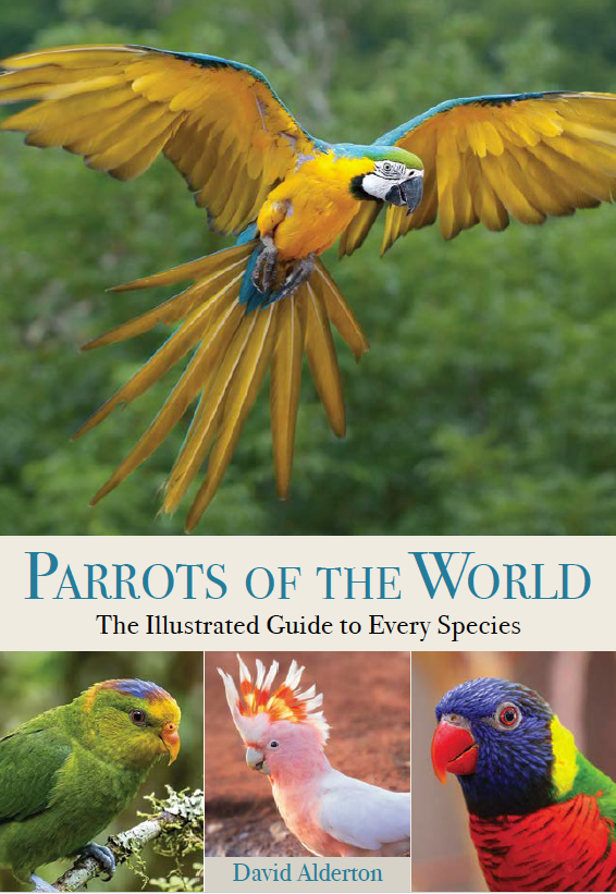 Parrots Cover.png