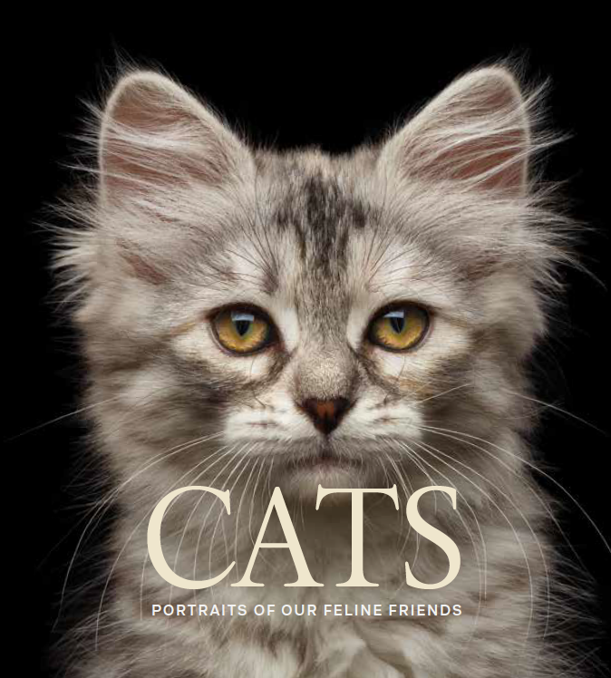 Cats gift cover.png