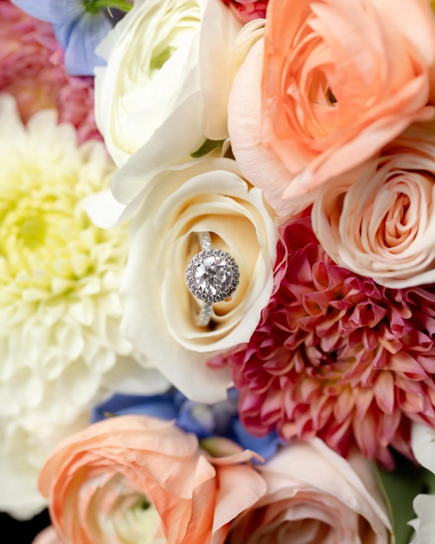 Inside look into this beautiful wedding💐