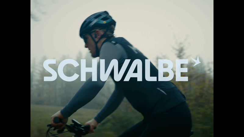 SCHWALBE