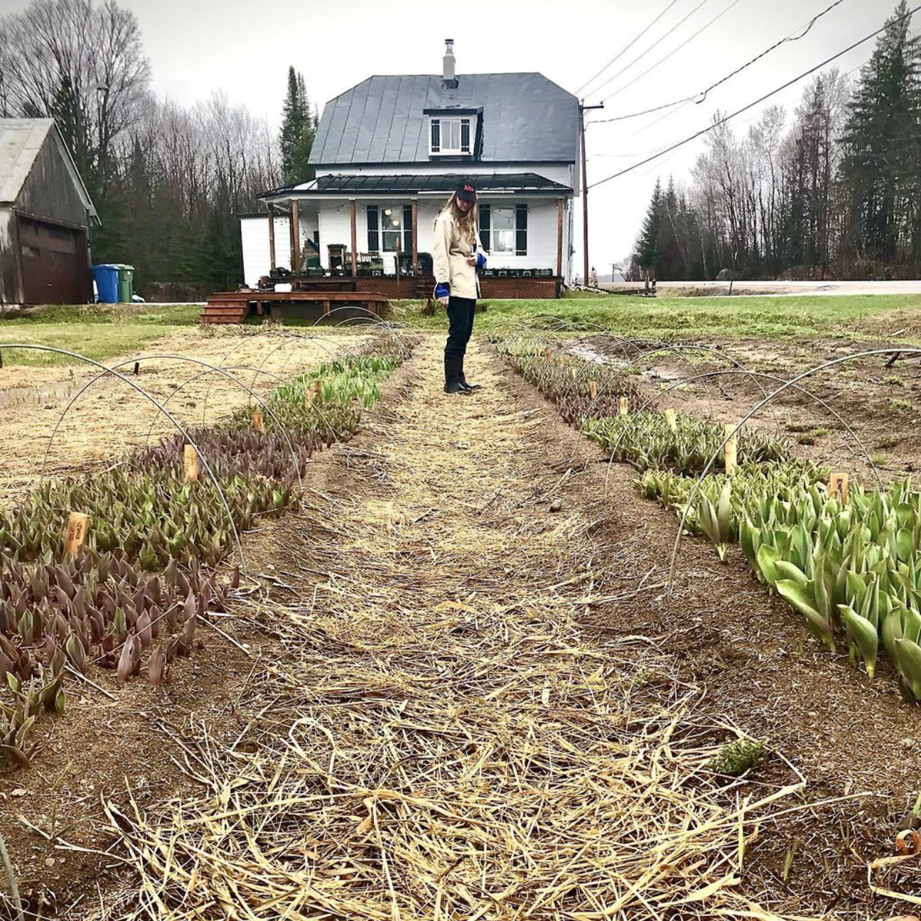 Screen Shot 2024-04-22 at 10.12.48 PM.png