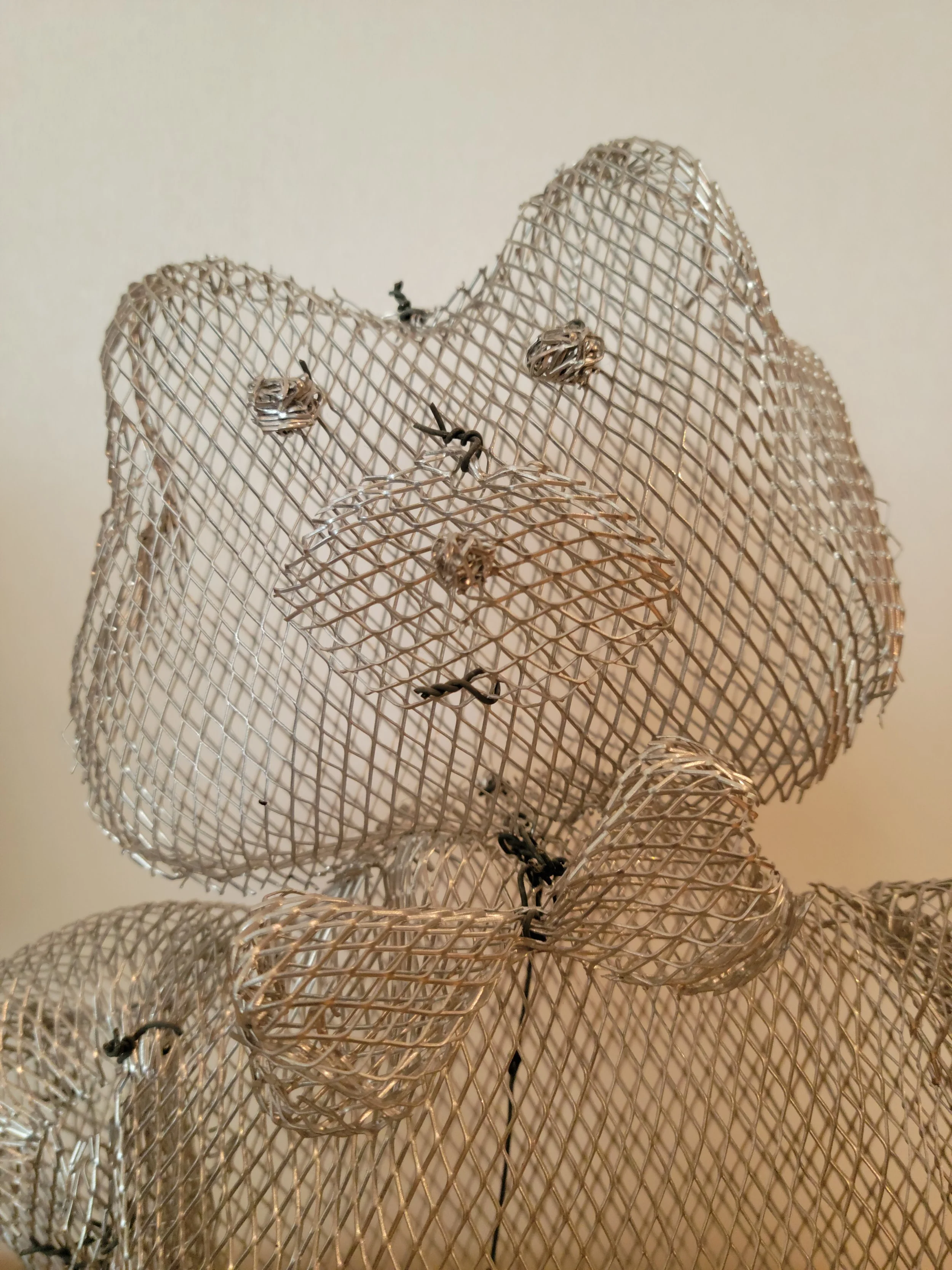 Will you be my friend?