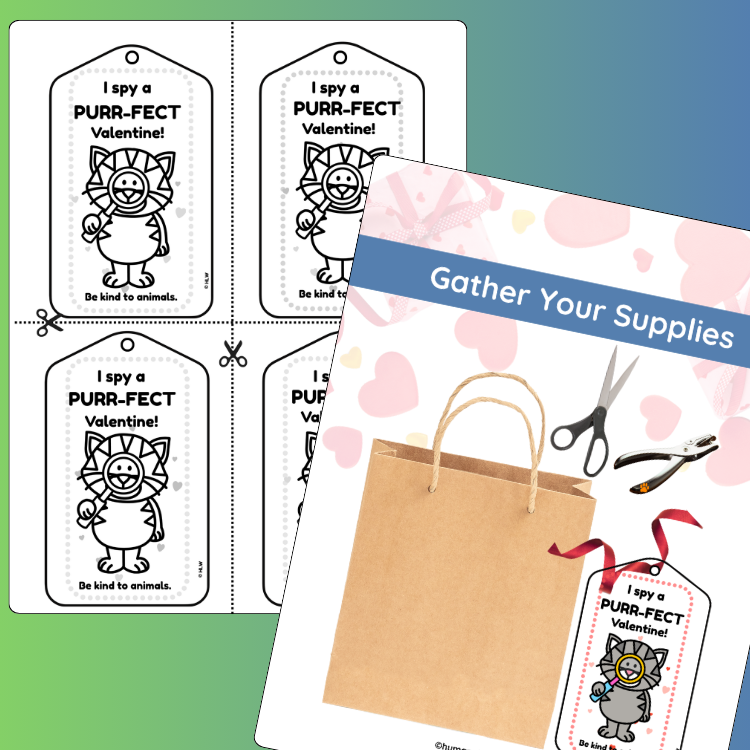 I Spy a Kind Valentine | Printable Valentine Treat Bag Tags | Classroom Valentine Resource