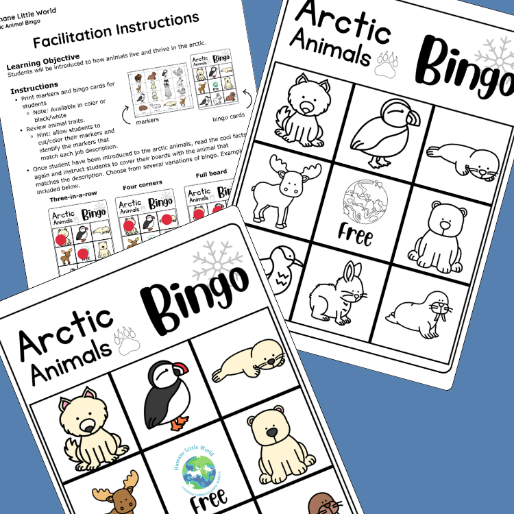 Arctic Animals Games & Activities | Bingo, Memory, I Spy & Coloring | Ages 5–7