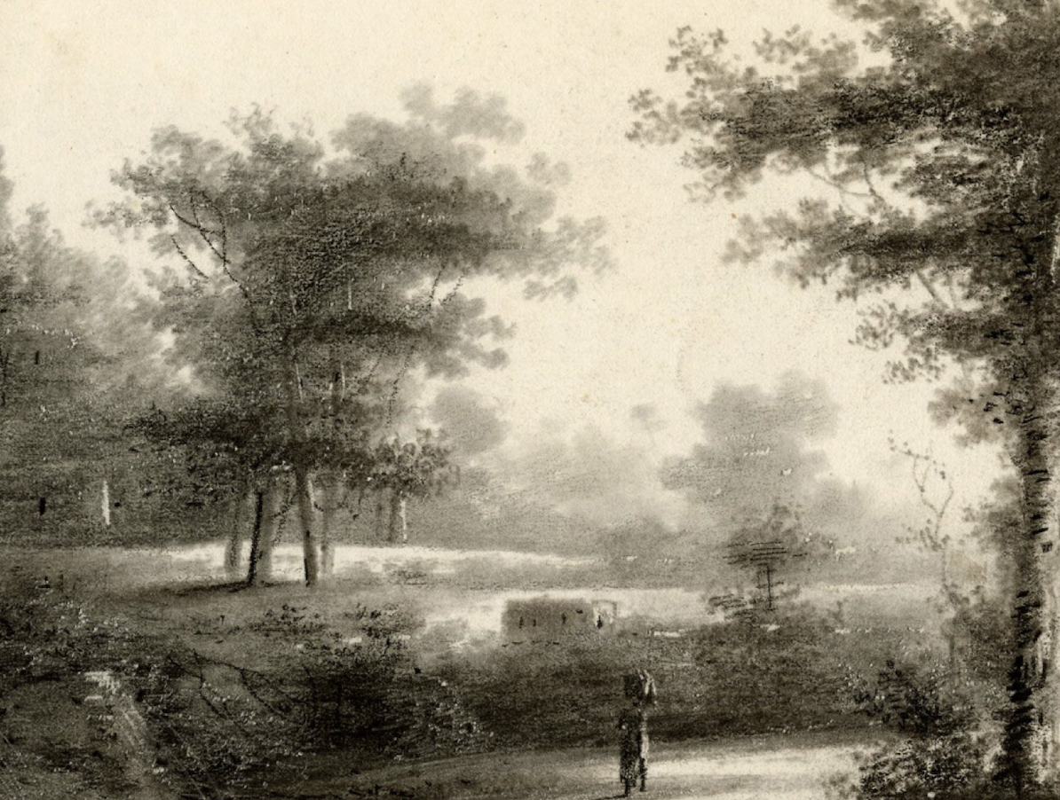 Drawing Fundamentals - Daytime