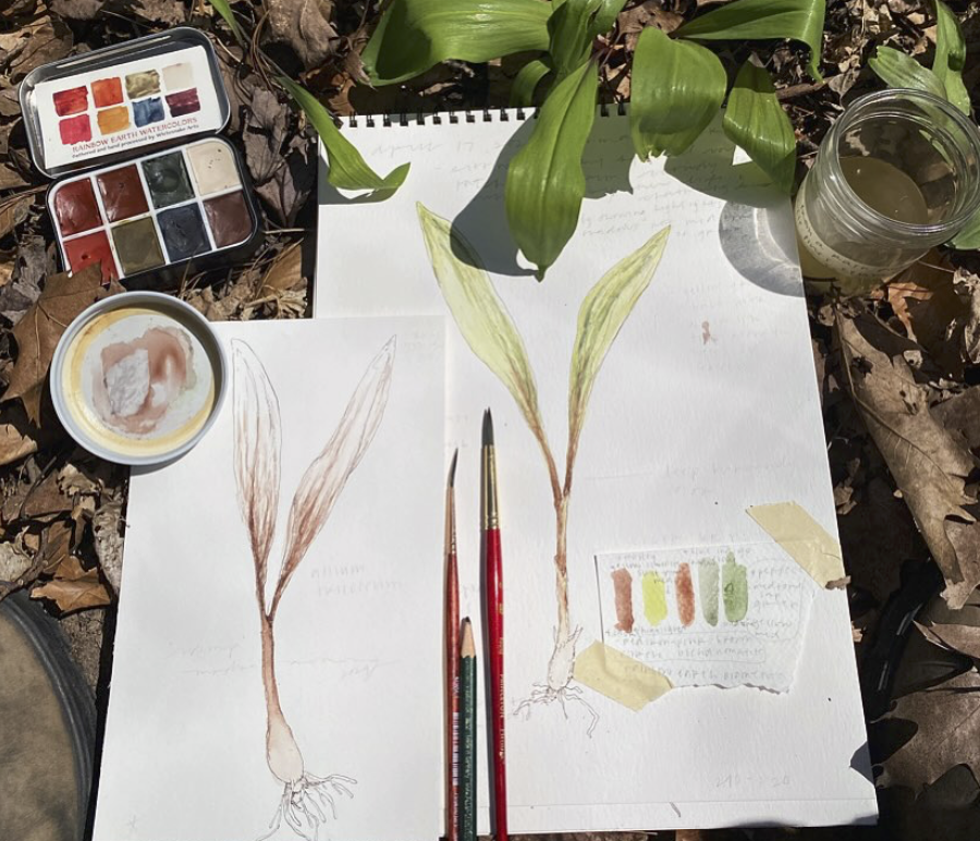 Screenshot 2025-05-19 at 7.22.35 PM.png