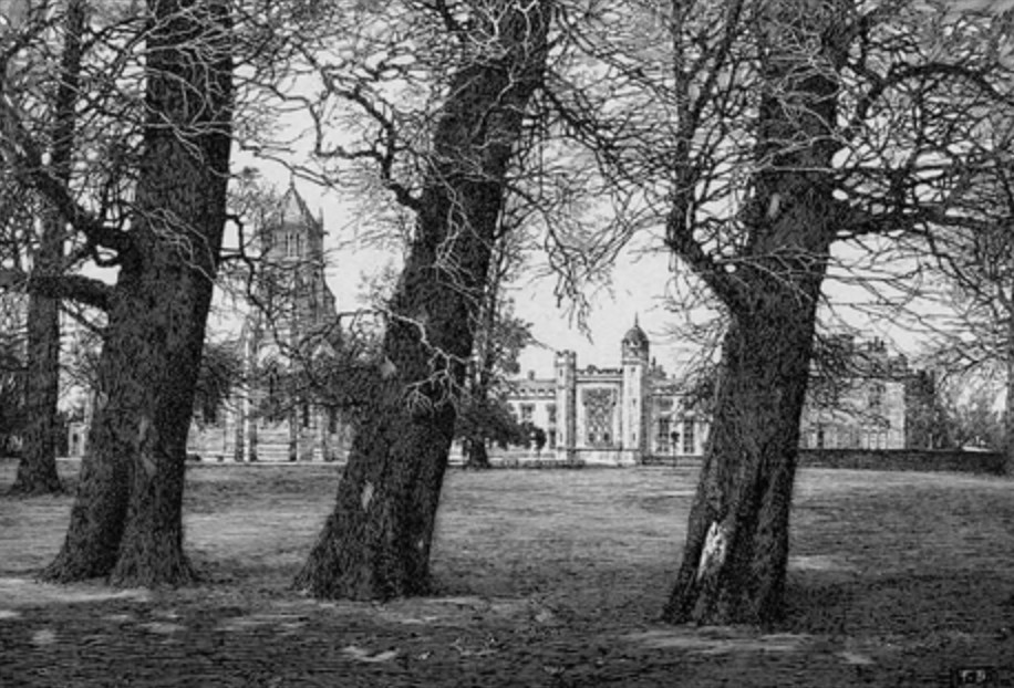 Screenshot 2026-03-12 at 3.50.46 PM.png