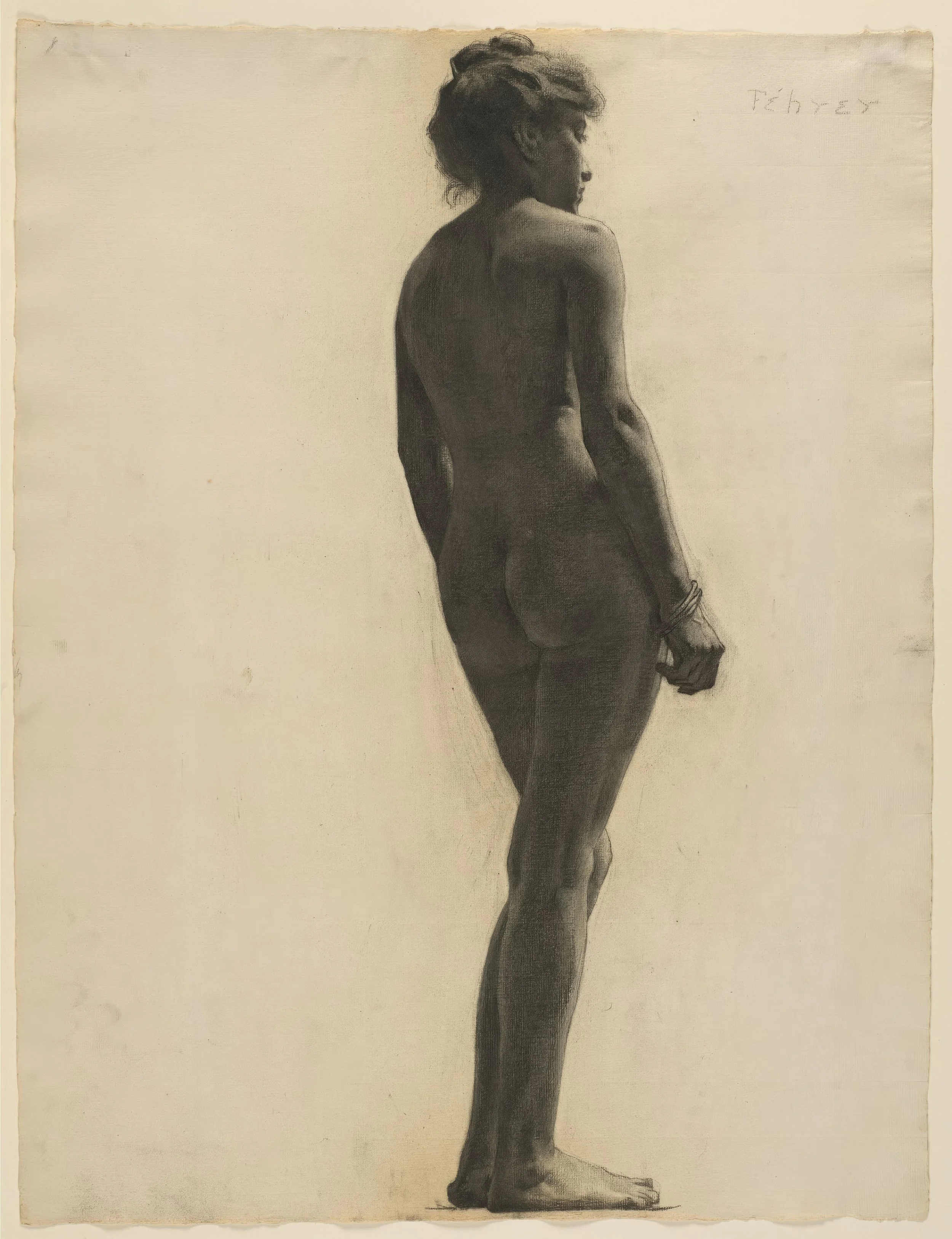 434020030-standard-scale-2_00x.jpg (Copy)