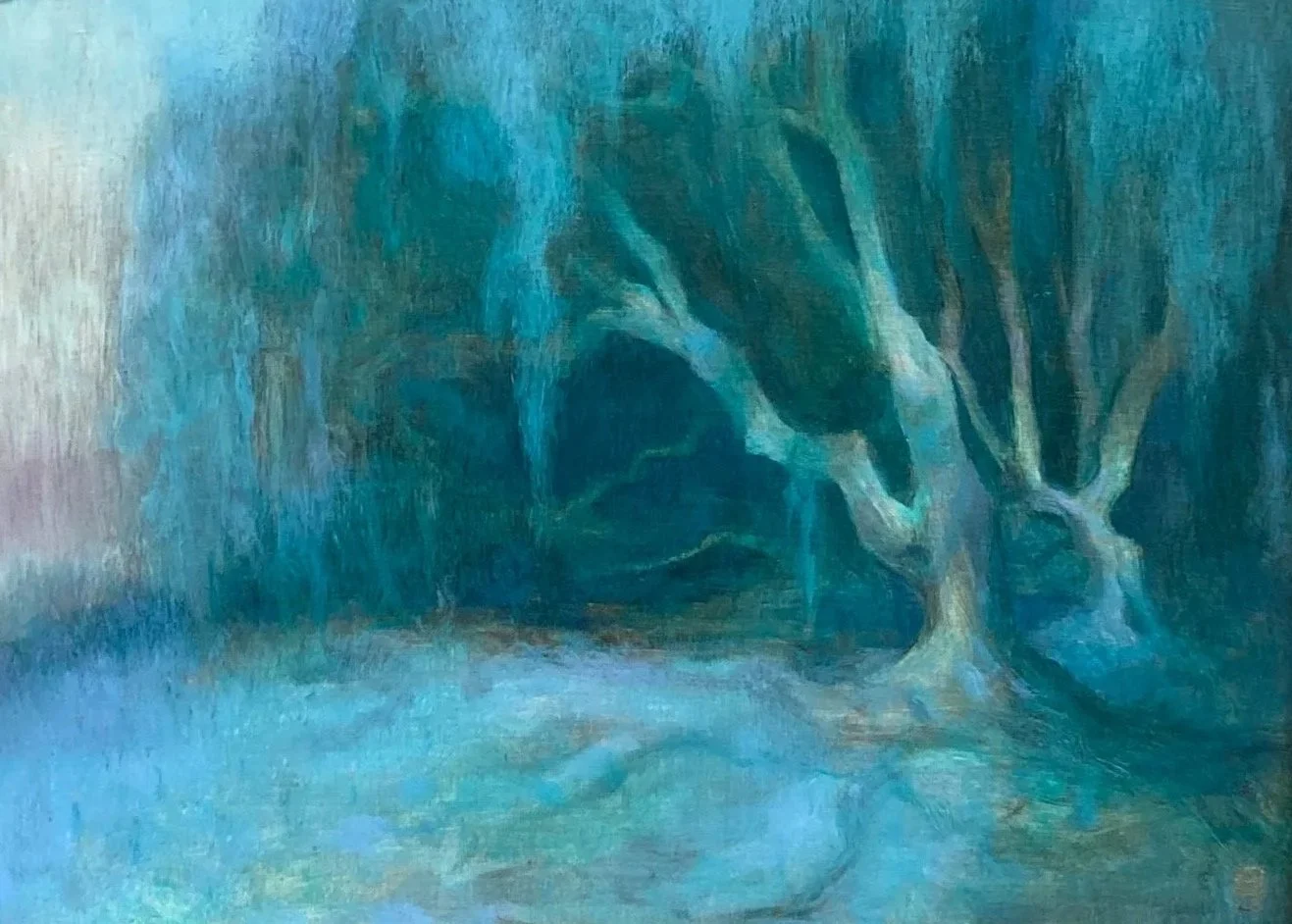 English Beech at Dusk