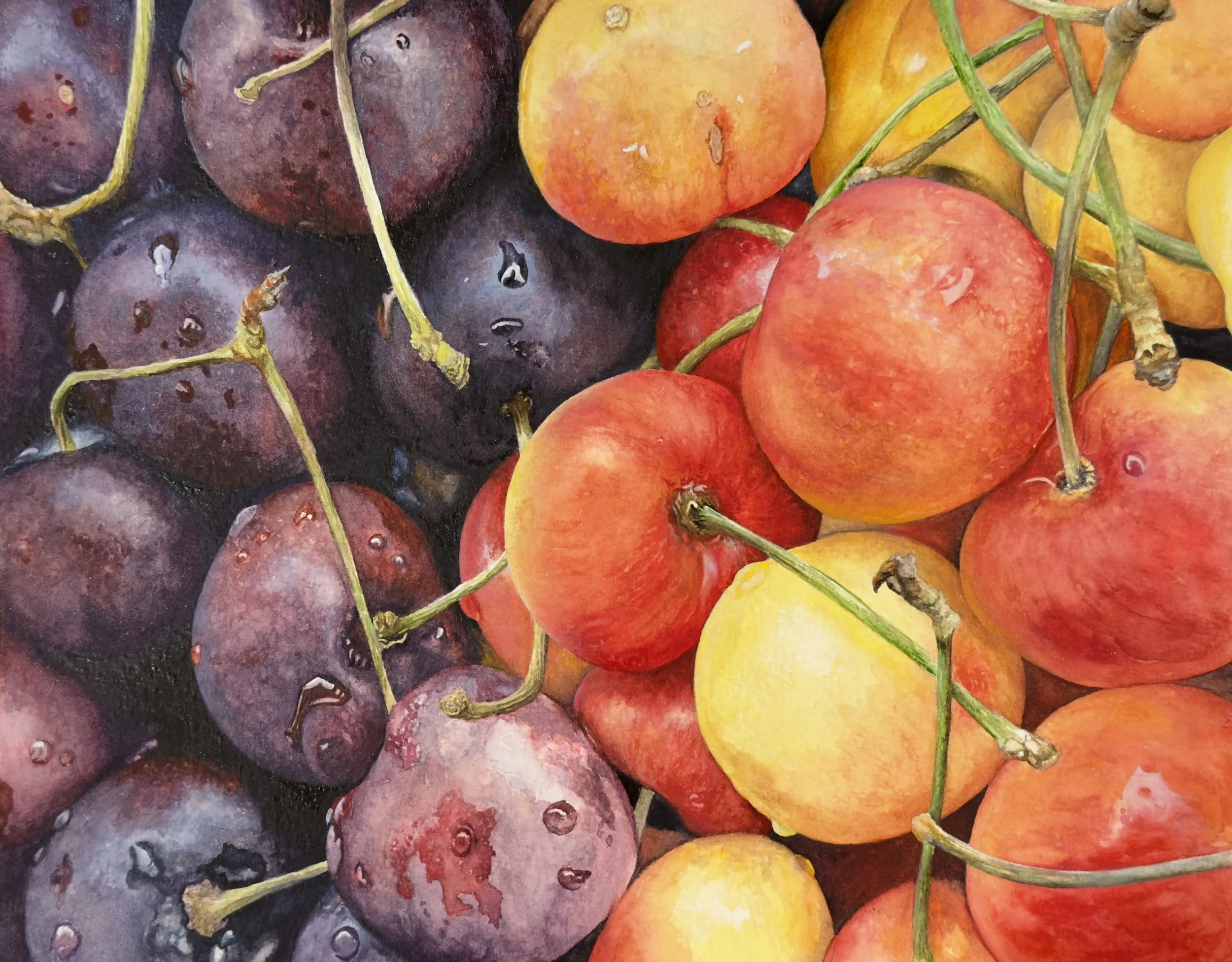 "Montana Mountain Roadside Cherries"