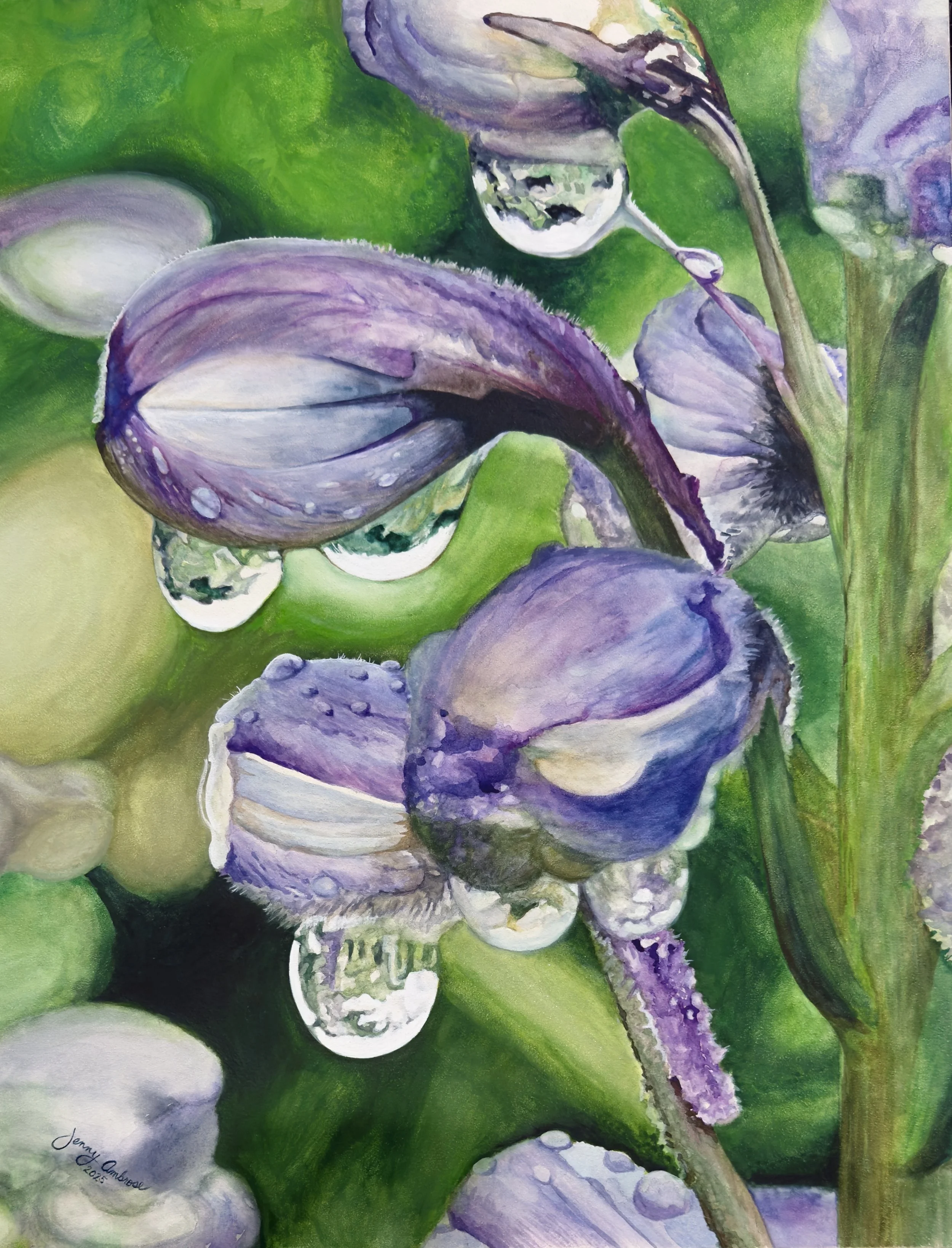 "Dewdrops of Delphinium"