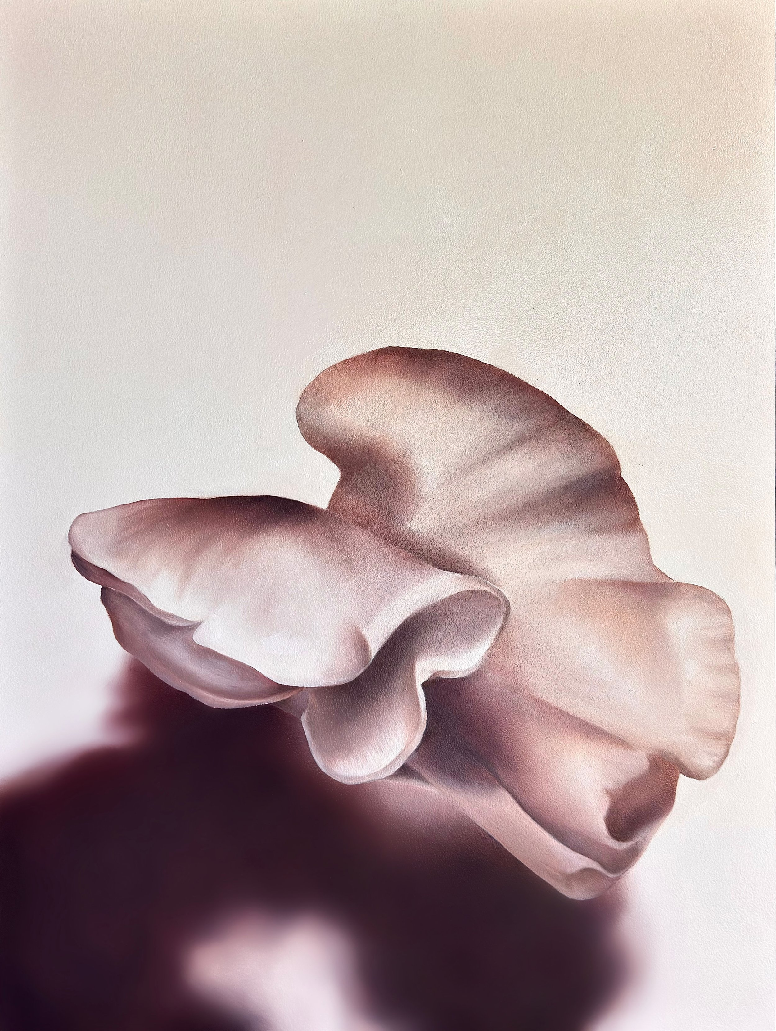 SweetPea_40x30_2026.jpg