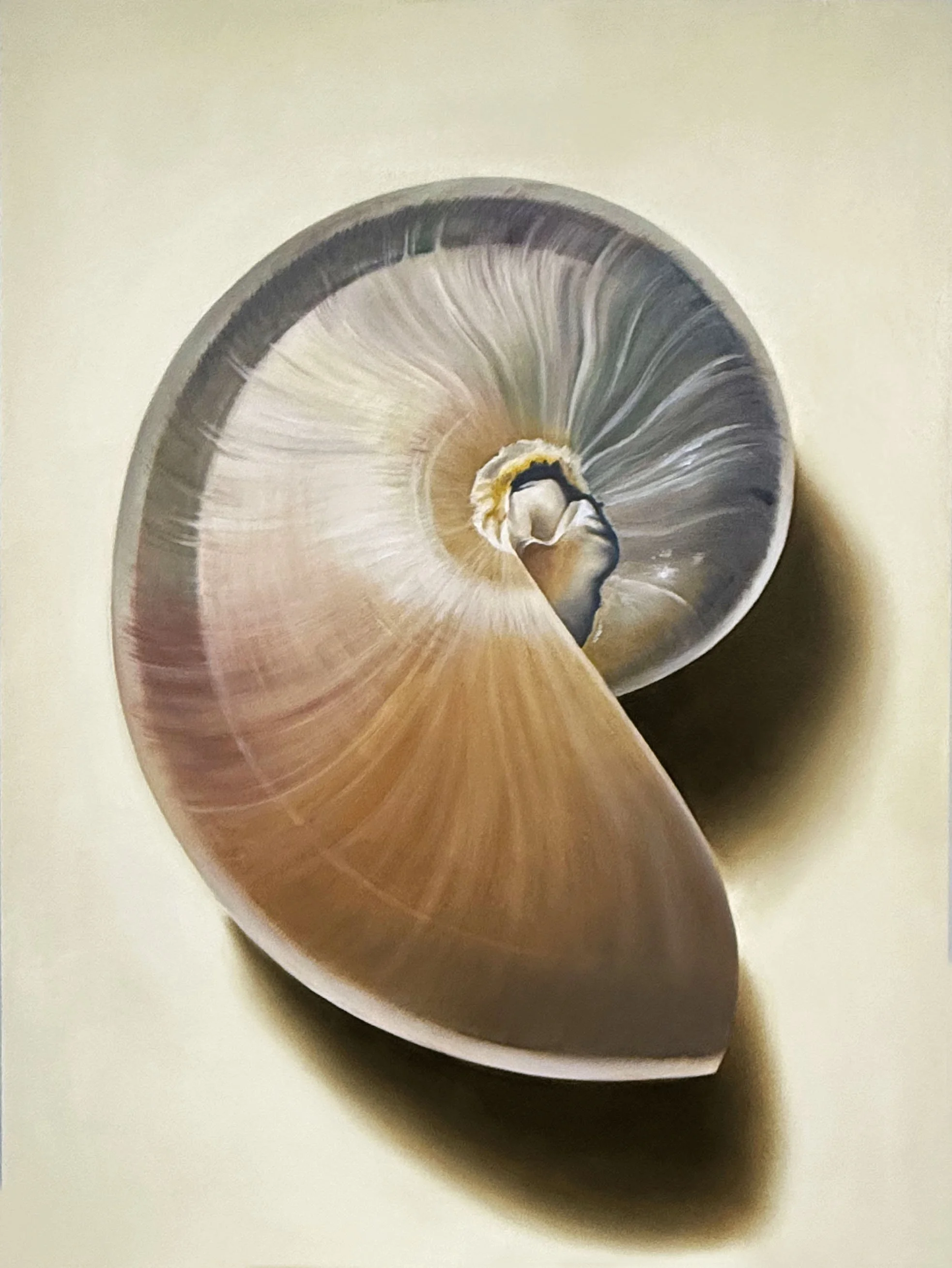 GoldenNautilusNo.01_48x36_20262.jpg