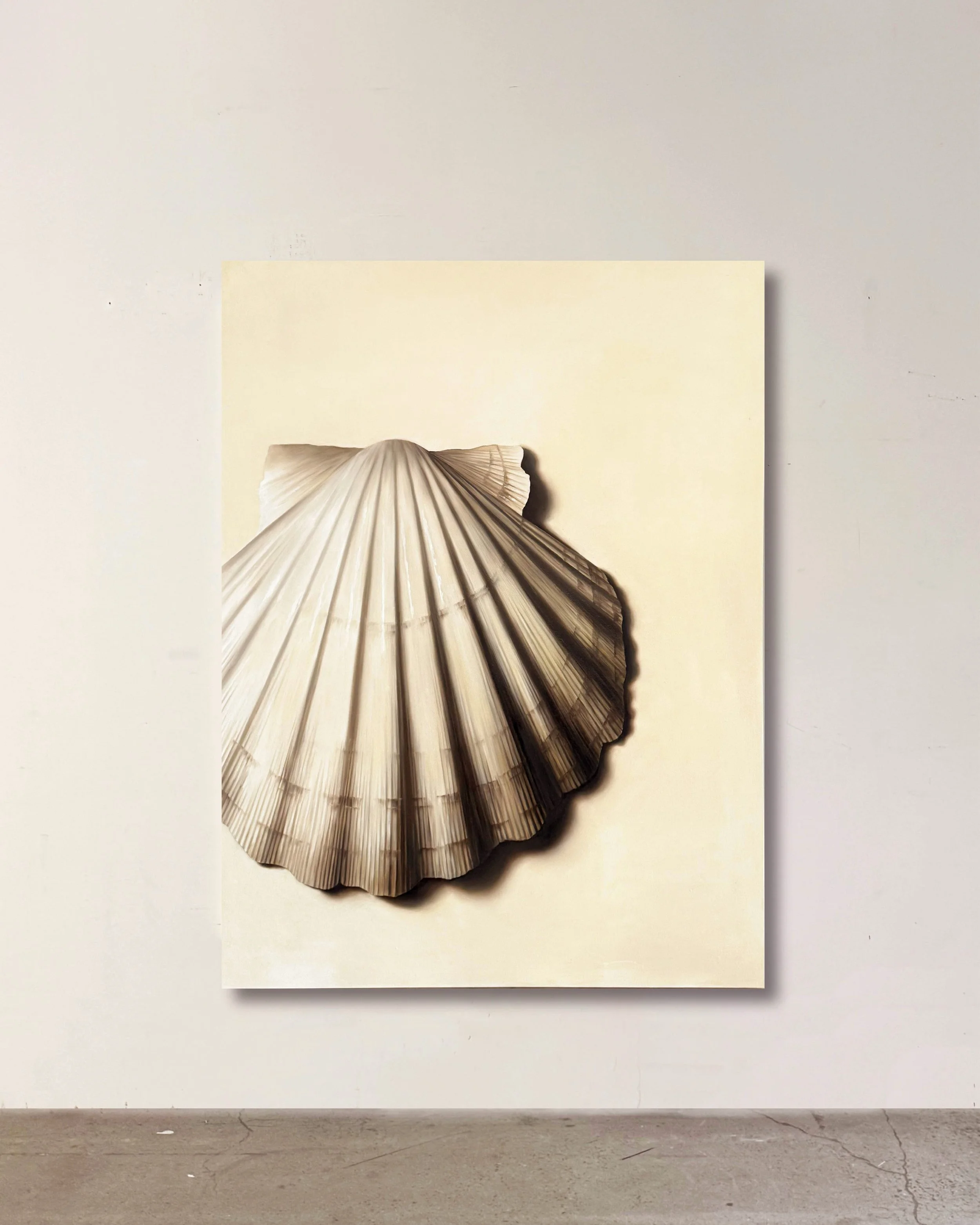 AScallopShellInSitu.jpg