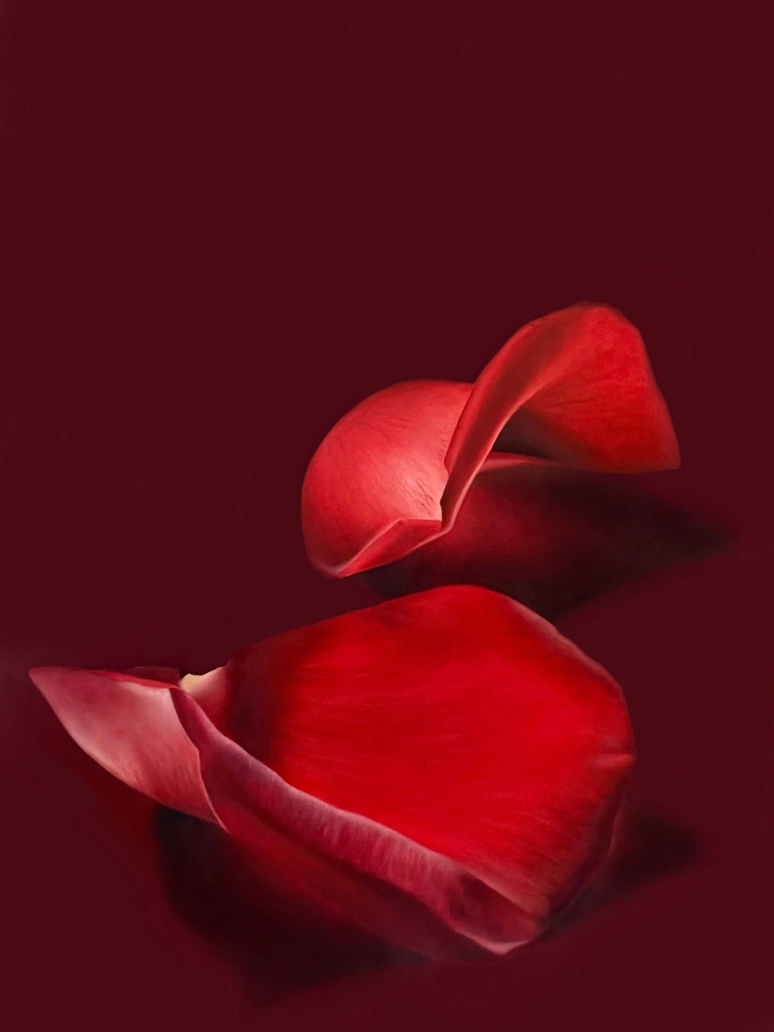 ThroughRoseColoredGlasses_48x36_2026.jpg