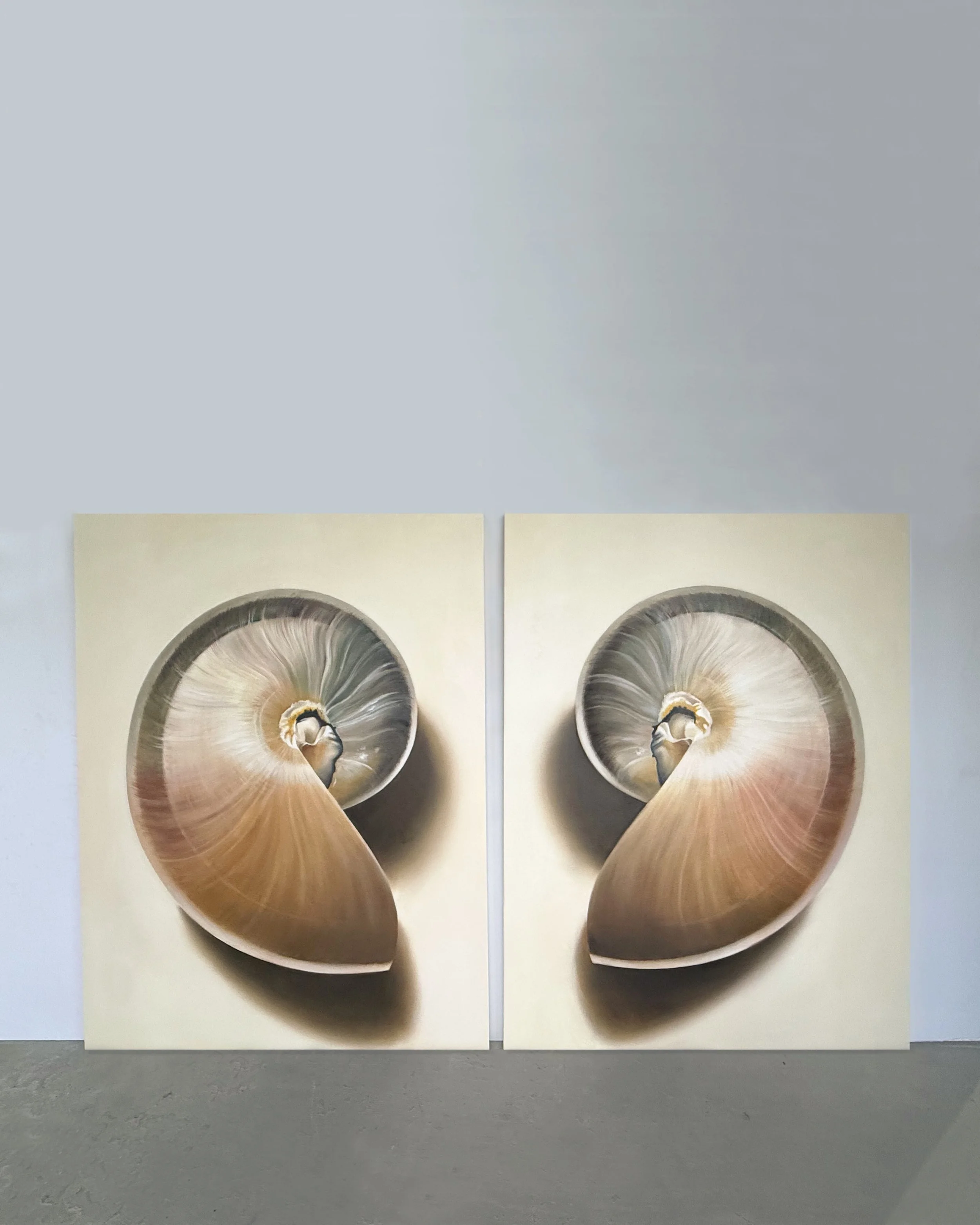 GoldenNautilusNo.01&No.02_48x36_2026Ver2.jpg