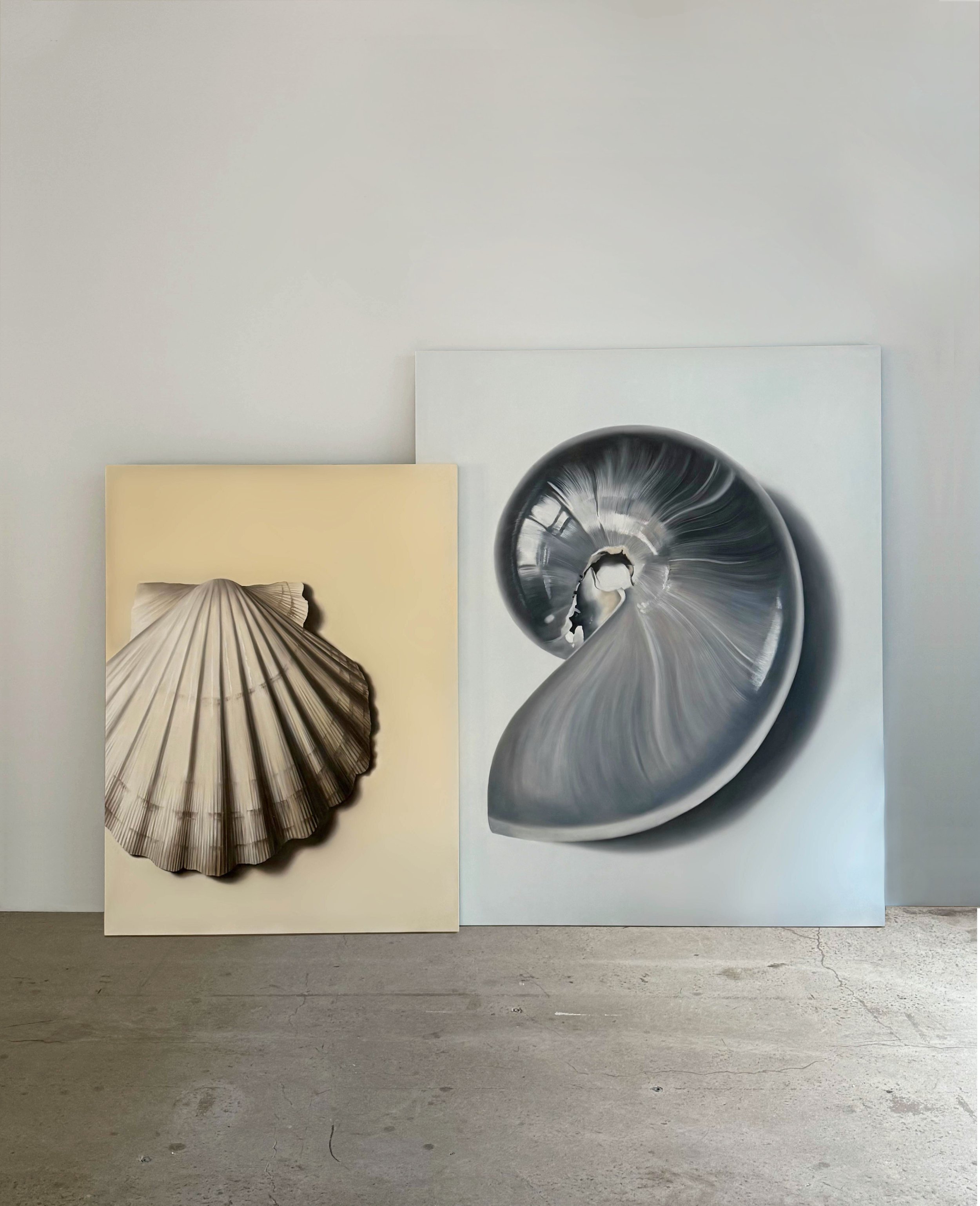 AScallopShell&BluishNo.02.jpg
