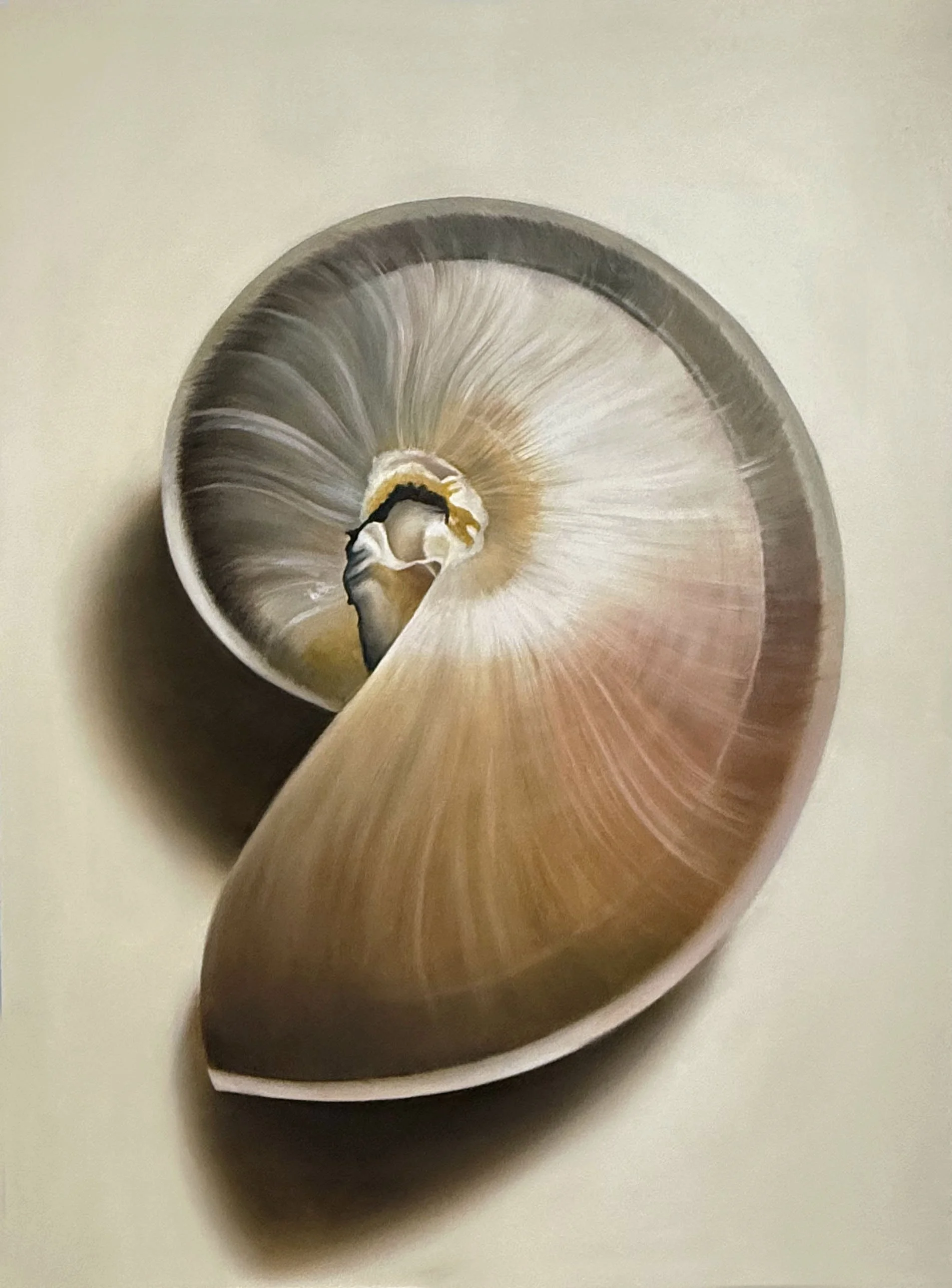 GoldenNautilusNo.02_48x36_2026.jpg