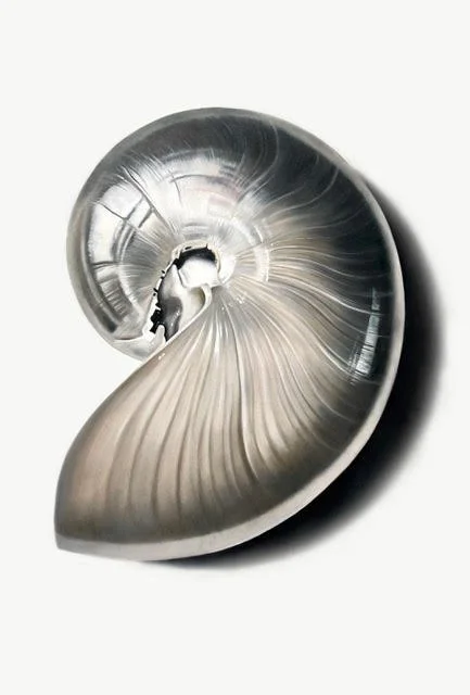 attachment-2 (1).jpeg