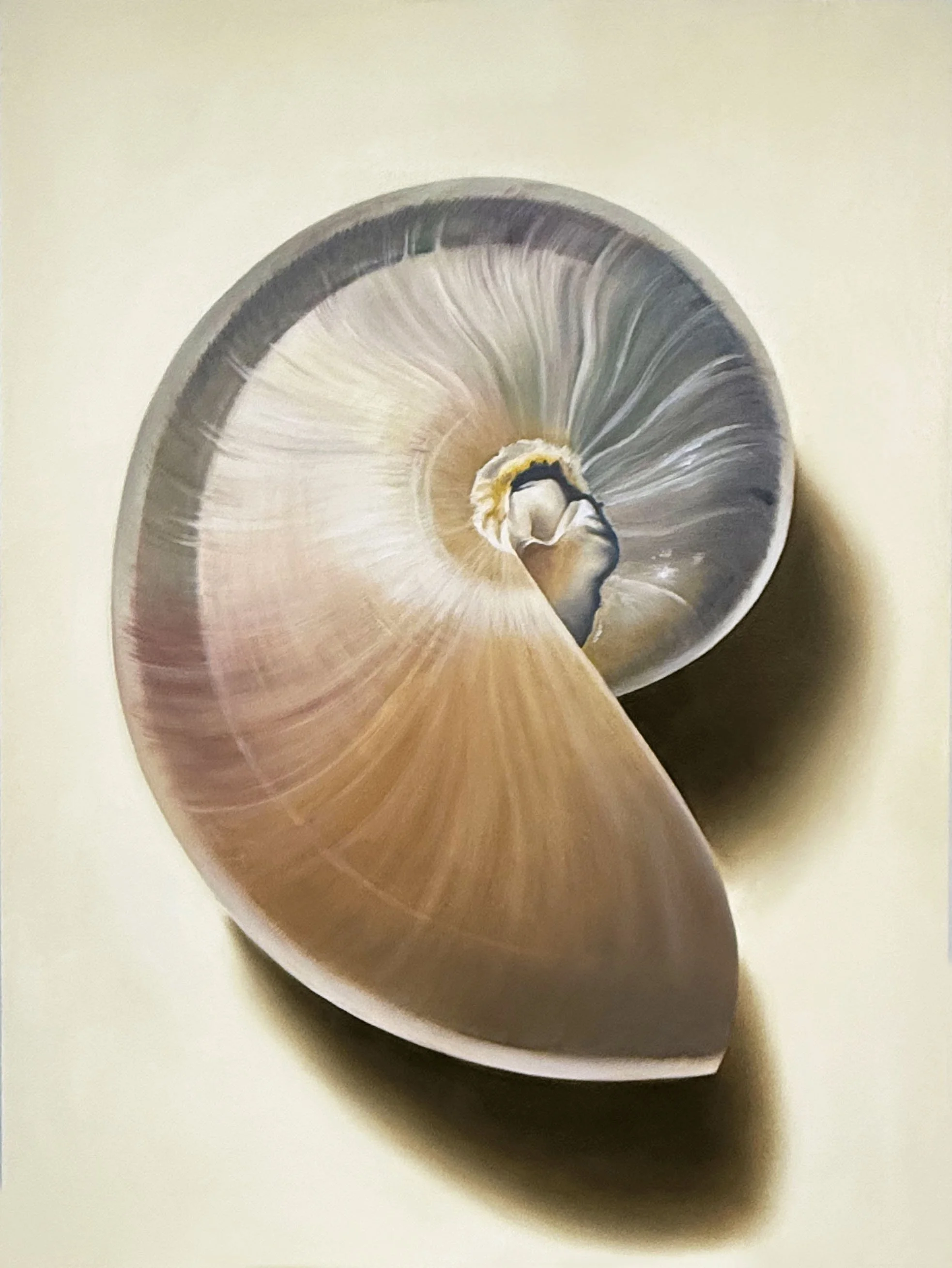 GoldenNautilusNo.01_48x36_20262.jpg
