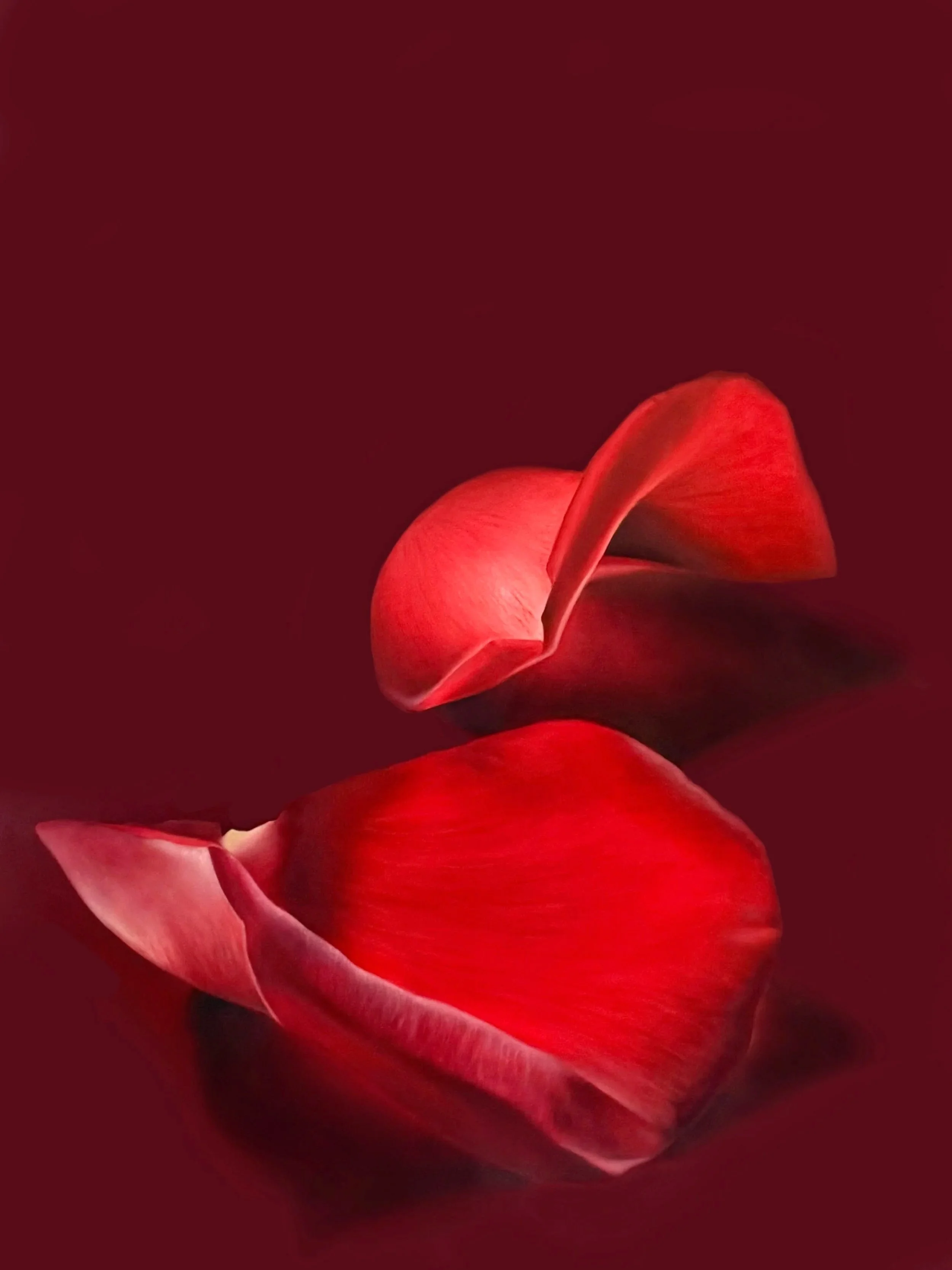 ThroughRoseColoredGlasses_48x36_2026.jpg