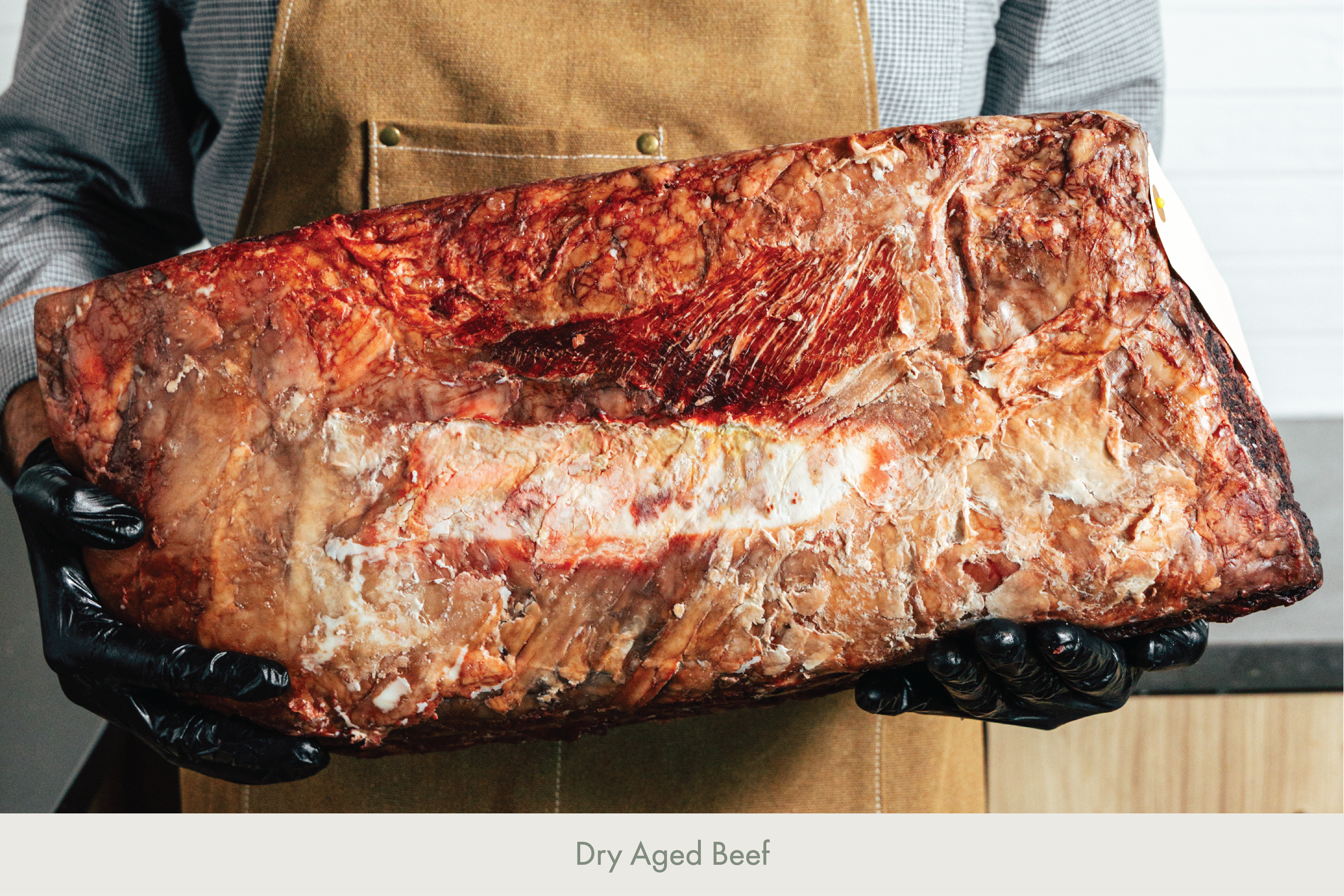 Cover Images-05.png