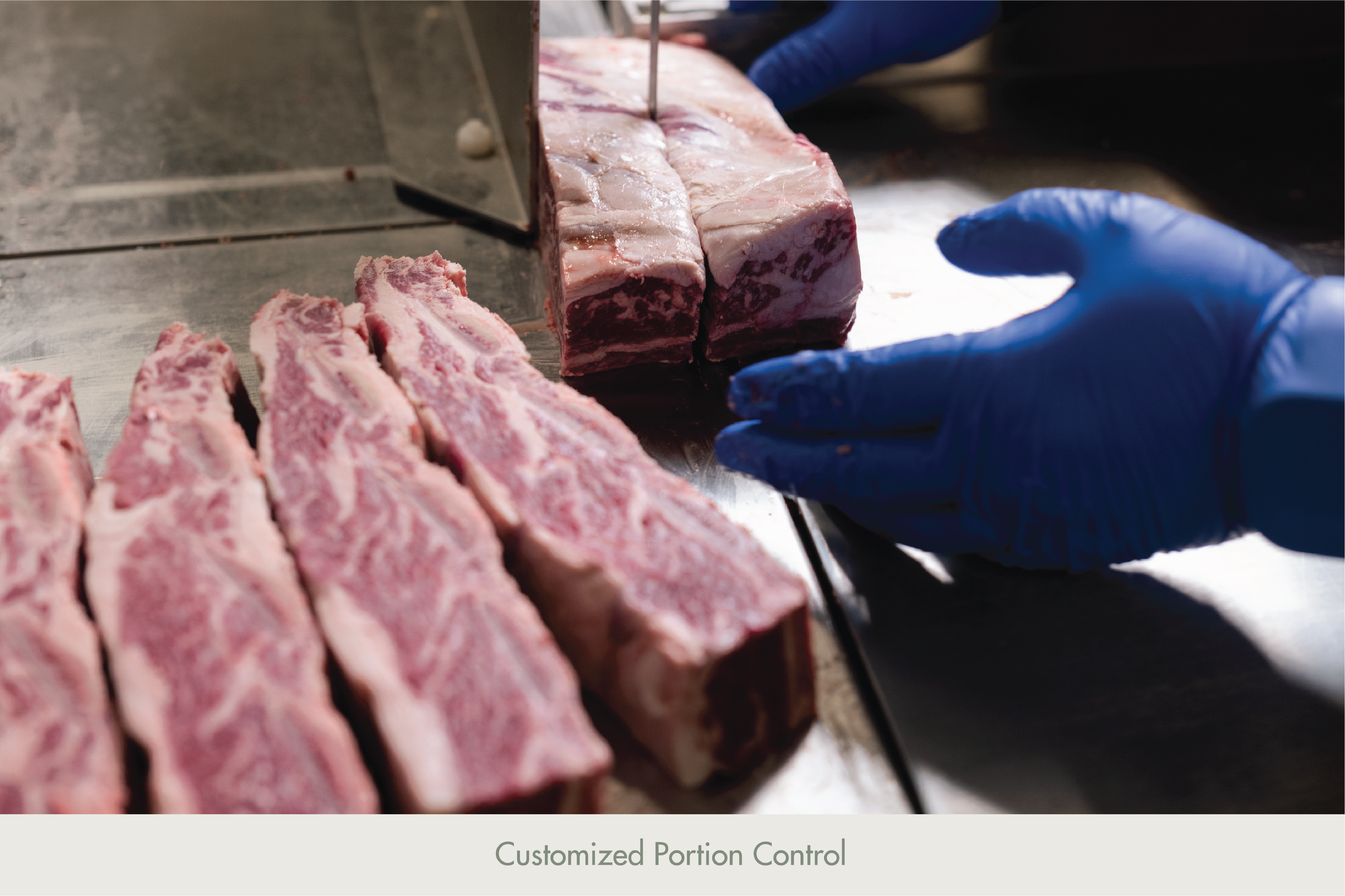 Cover Images-04.png